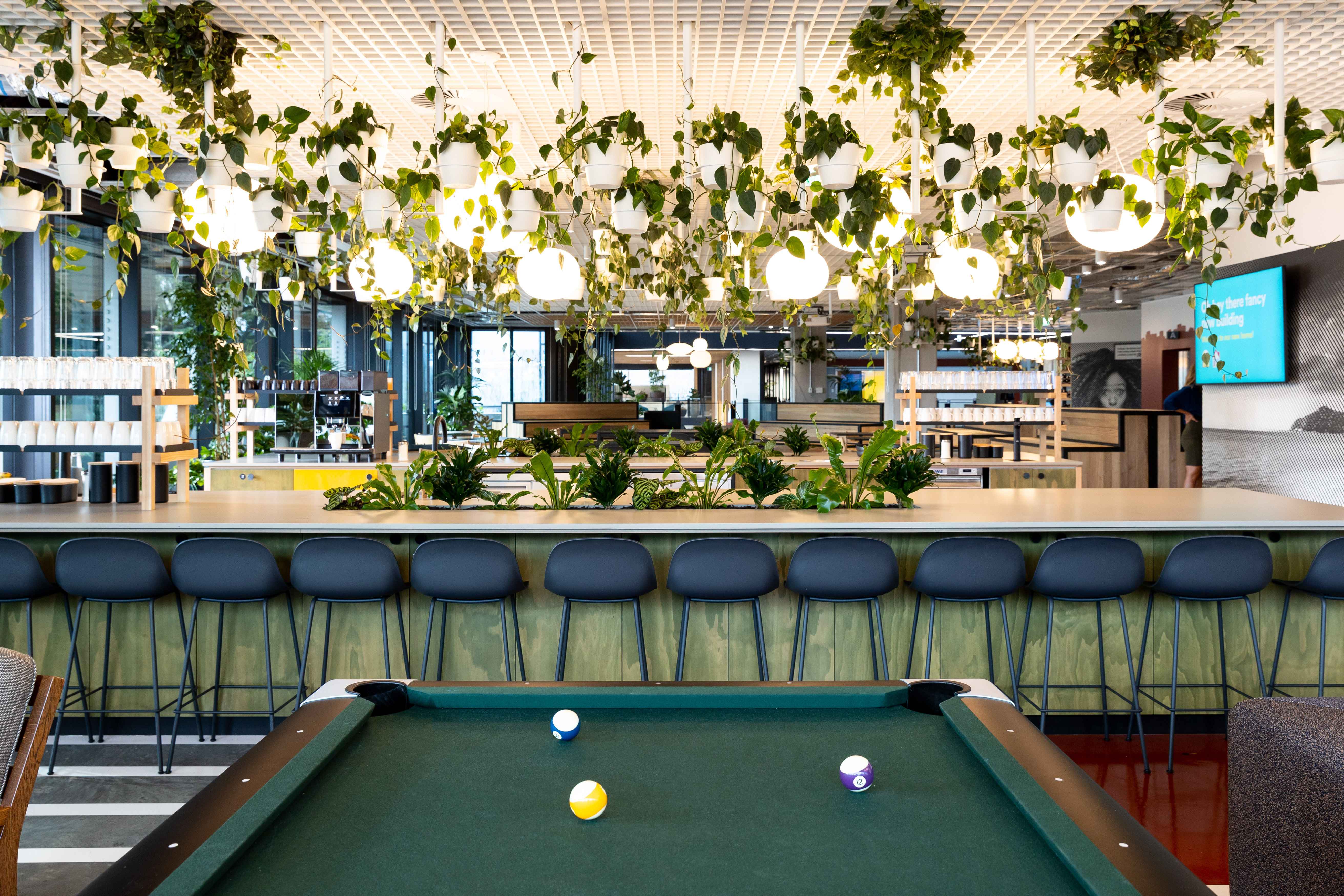Greenery in collaboration area in office