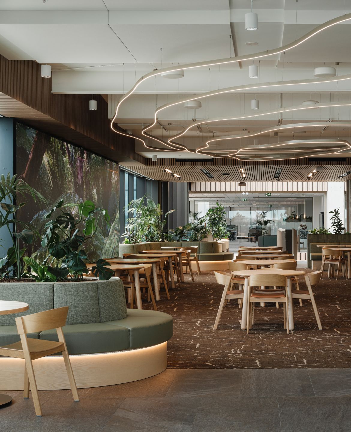 Lush, layered planting throughout One NZ's Auckland headquarters brings energy, warmth and a deeper connection to nature across every level of the workplace.