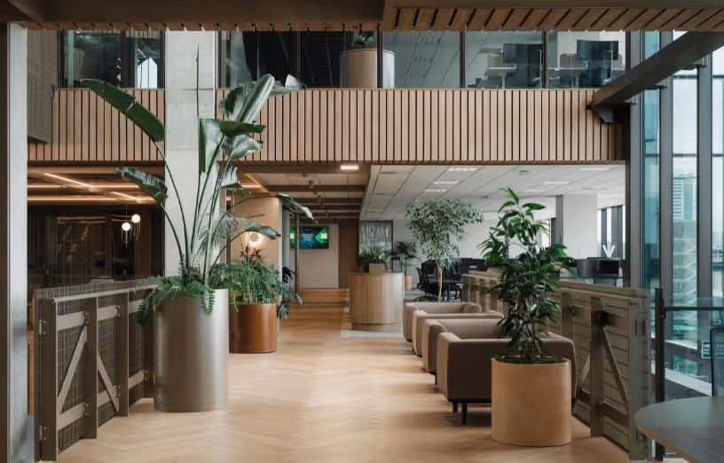 Strelizia in a cylindrical planter on a herringbone timber floor, with woven screen partitions on the mezzanine level beyond.