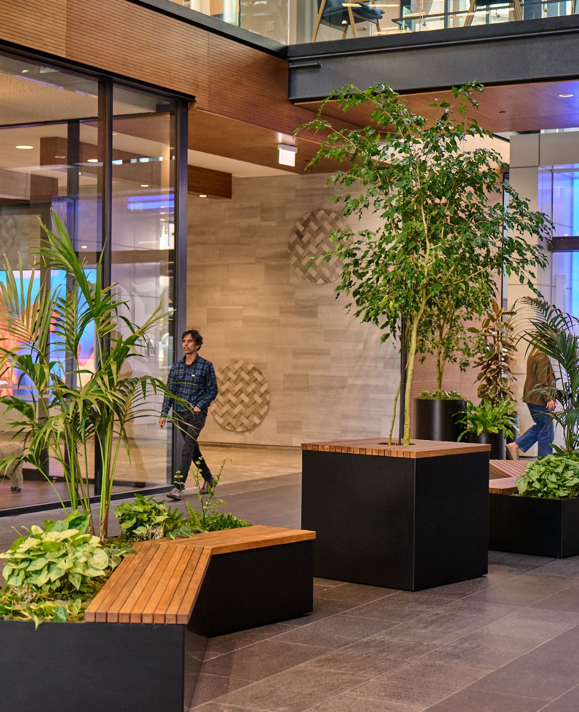 At 4 Graham Street, considered greenery transforms the atrium and shared spaces into a warm, nature-connected arrival experience.
