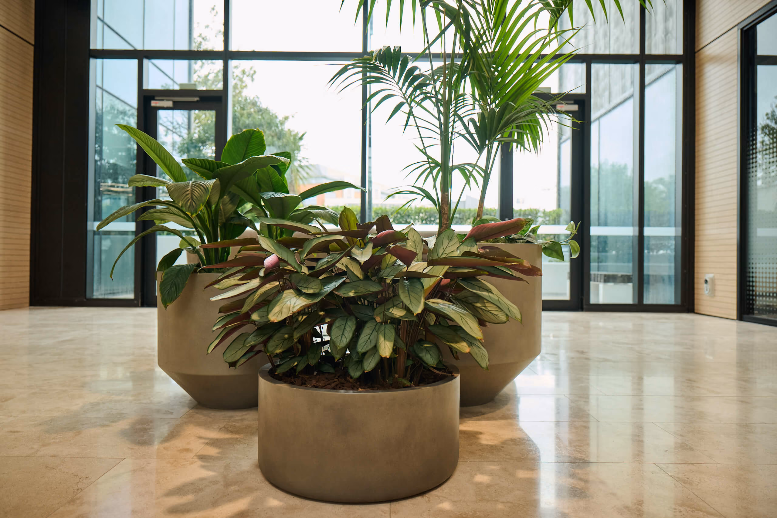 Three taupe bowl planters on Broadway's marble lobby floor — croton and aglaonema in the foreground, areca palm behind.