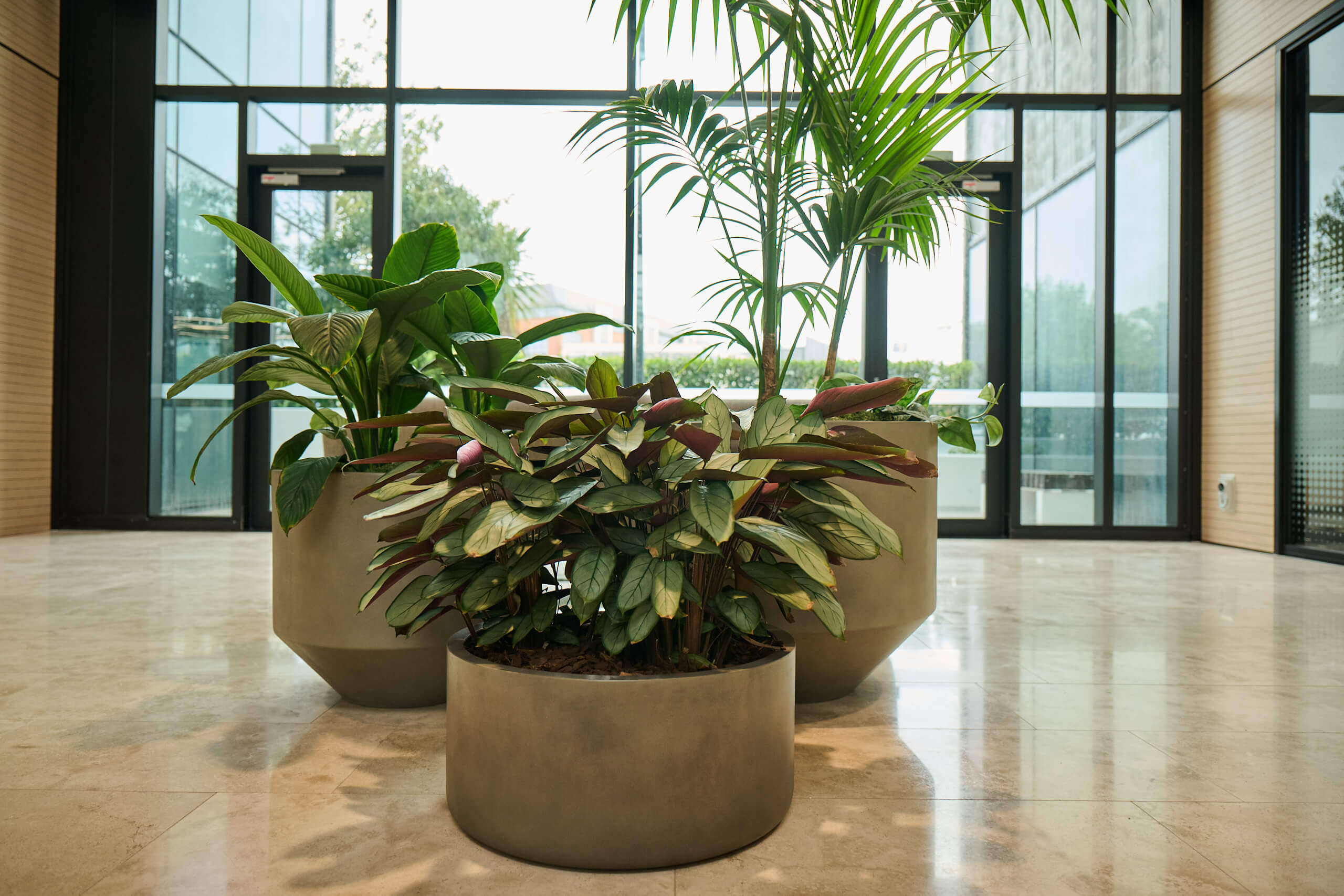 Three taupe bowl planters on Broadway's marble lobby floor — croton and aglaonema in the foreground, areca palm behind.