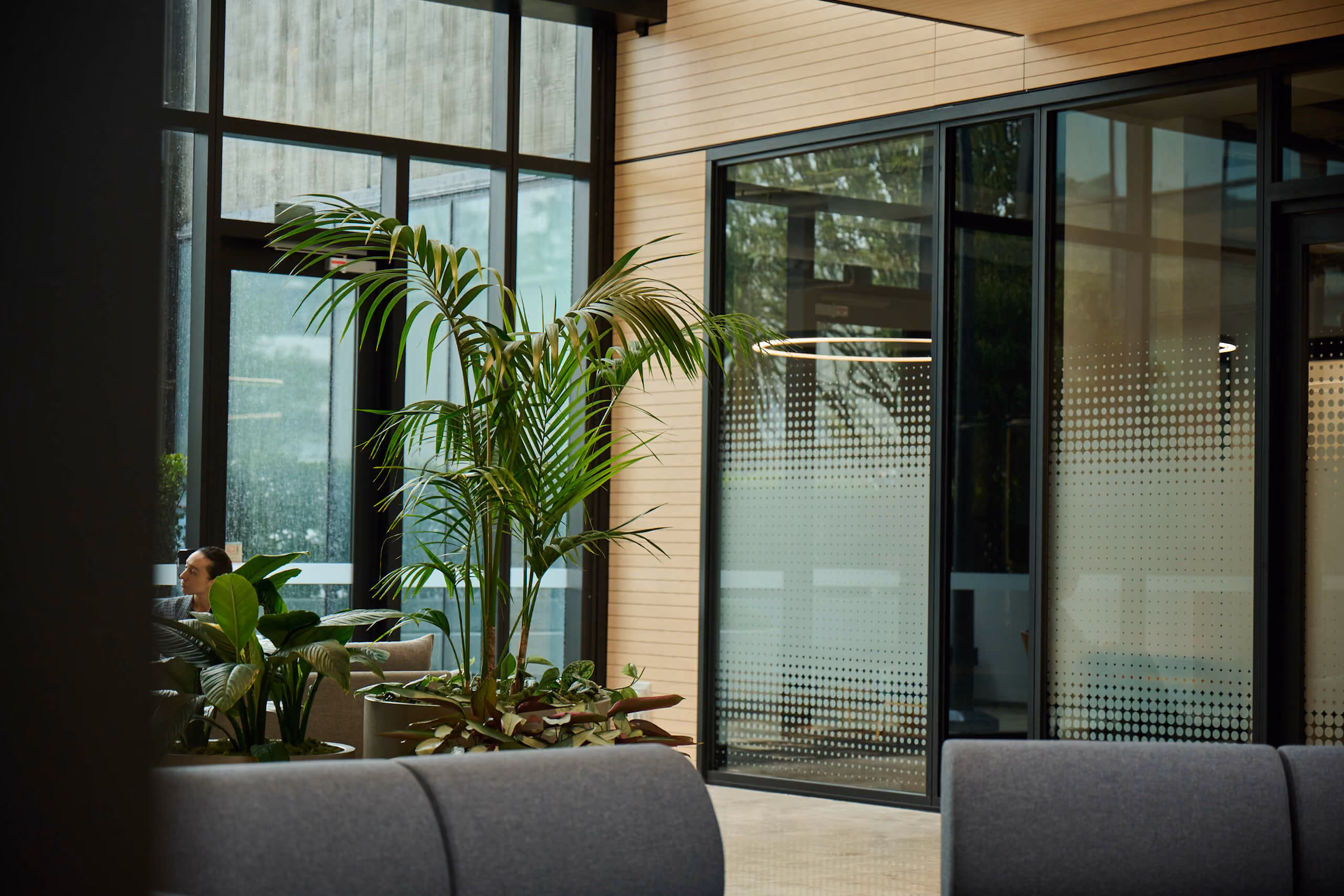 An areca palm in a taupe planter beside timber-clad walls and perforated glass at Broadway — a person works quietly beyond.