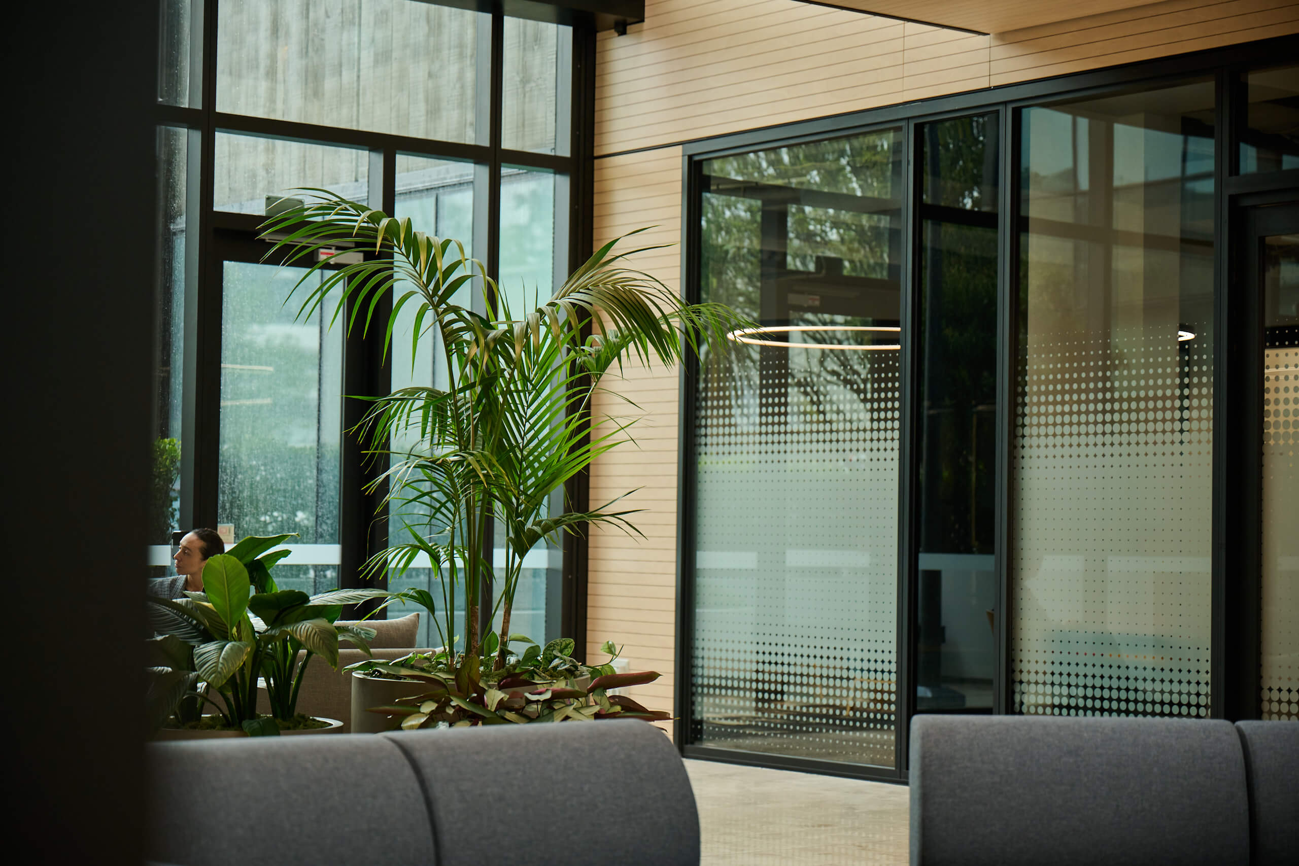 An areca palm in a taupe planter beside timber-clad walls and perforated glass at Broadway — a person works quietly beyond.