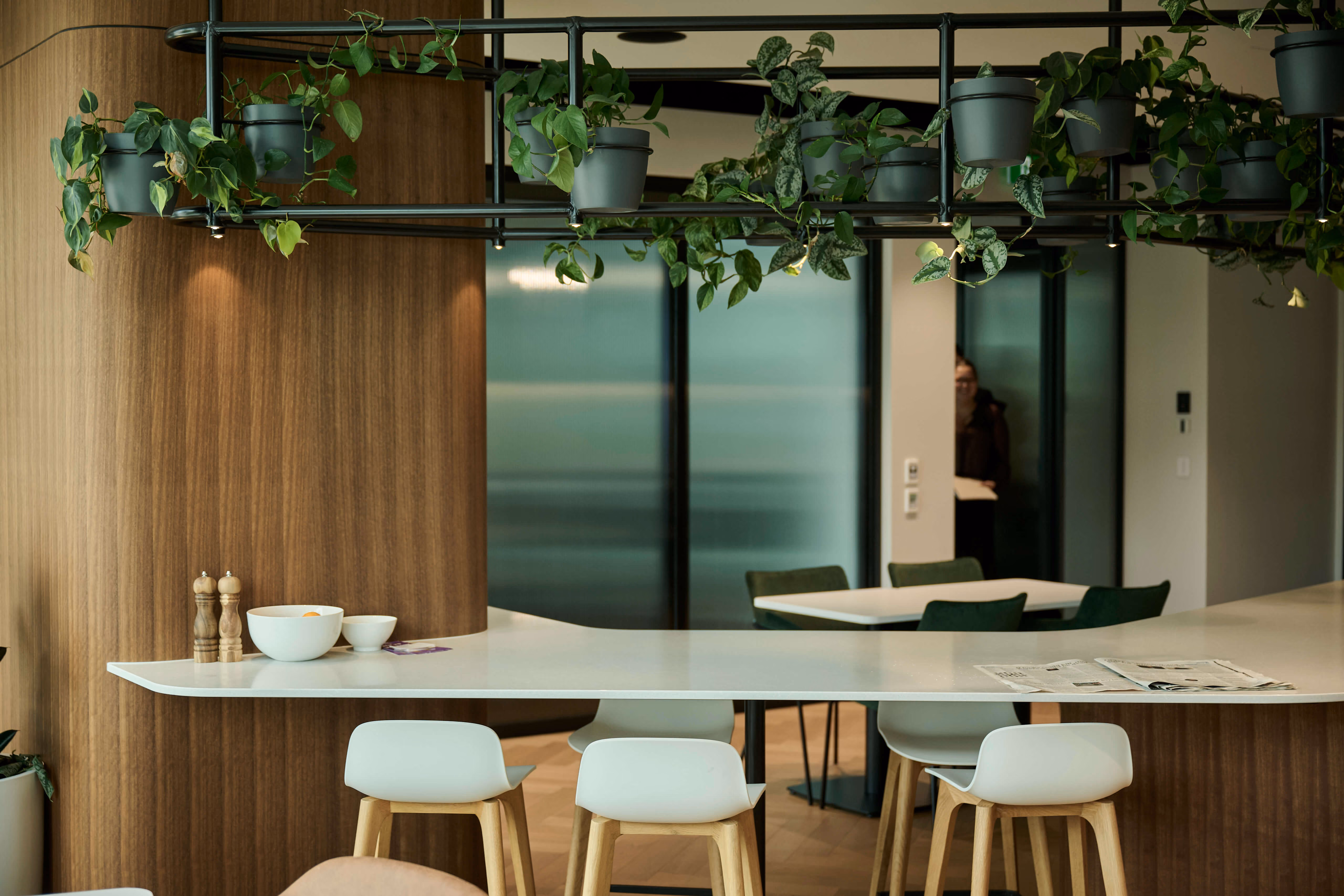 Wood-panelled breakout kitchen with a hanging planter rack trailing pothos above the bench, bar seating in the foreground.