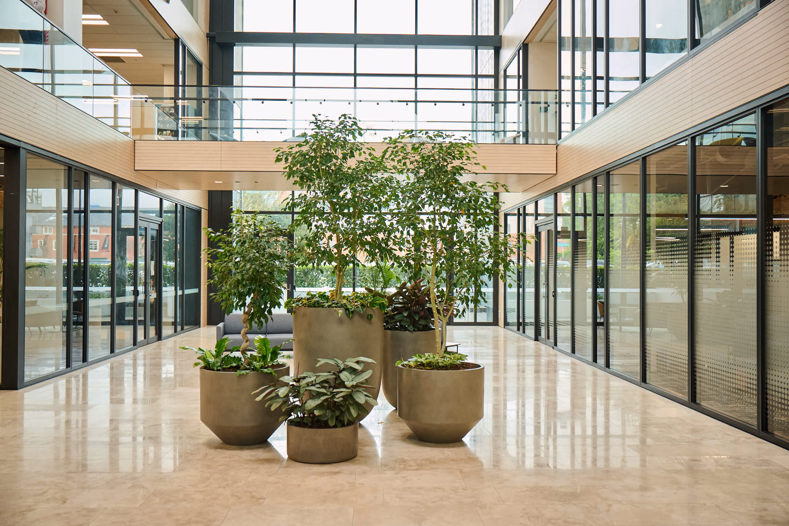 Six taupe planters of ficus trees and tropical foliage line the Broadway atrium corridor, with a mezzanine level above.