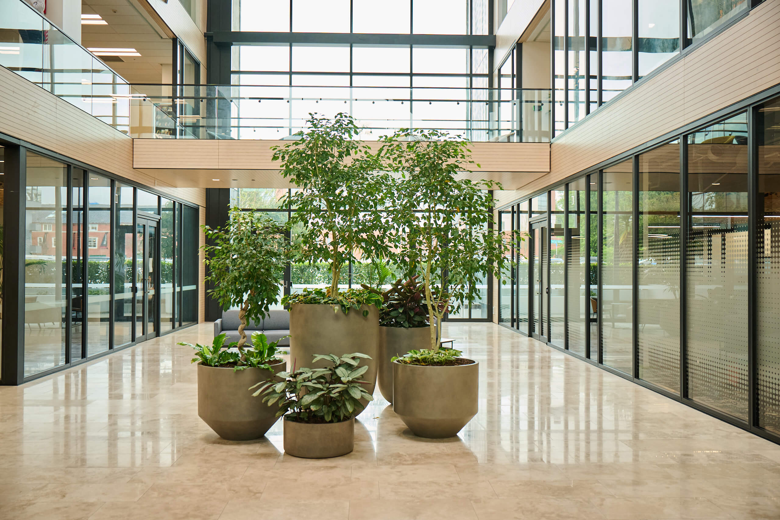 Six taupe planters of ficus trees and tropical foliage line the Broadway atrium corridor, with a mezzanine level above.