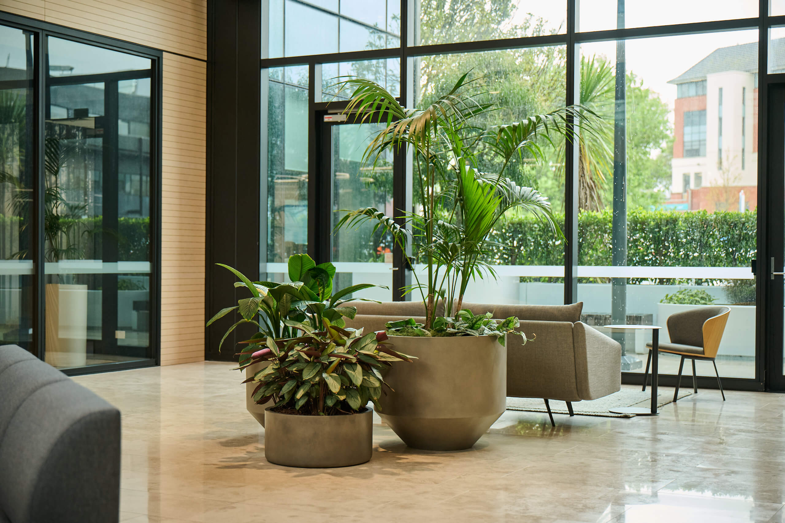 Five taupe planters of ficus trees, rubber plants, and calathea against Broadway's perforated glass screens and marble floor.