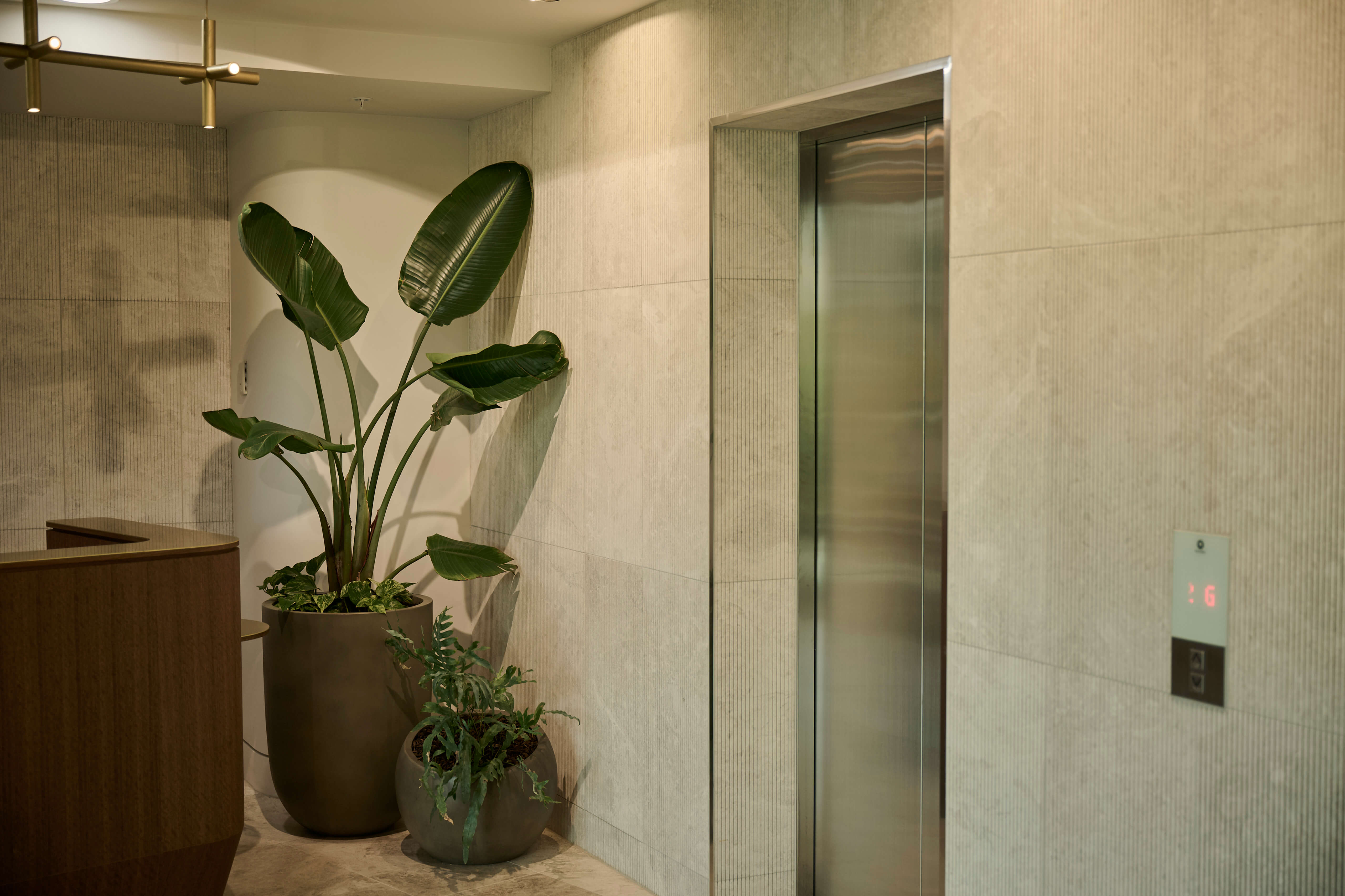 Lift lobby with a large planter of Strelizia and fern against stone-tiled walls beside the elevator doors.