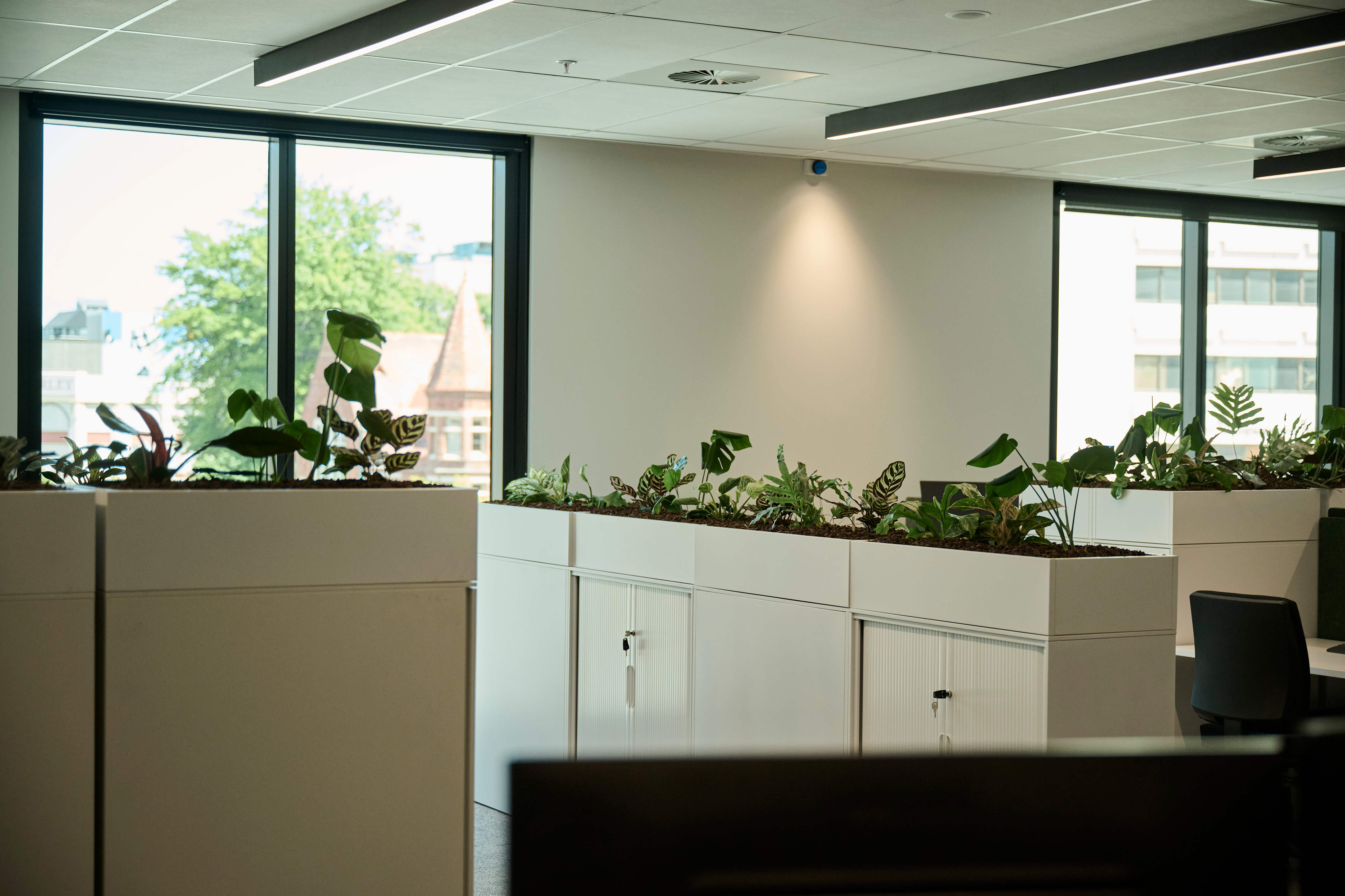 Open-plan office with white planter boxes of layered tropical foliage dividing workstations, framed by floor-to-ceiling windows.