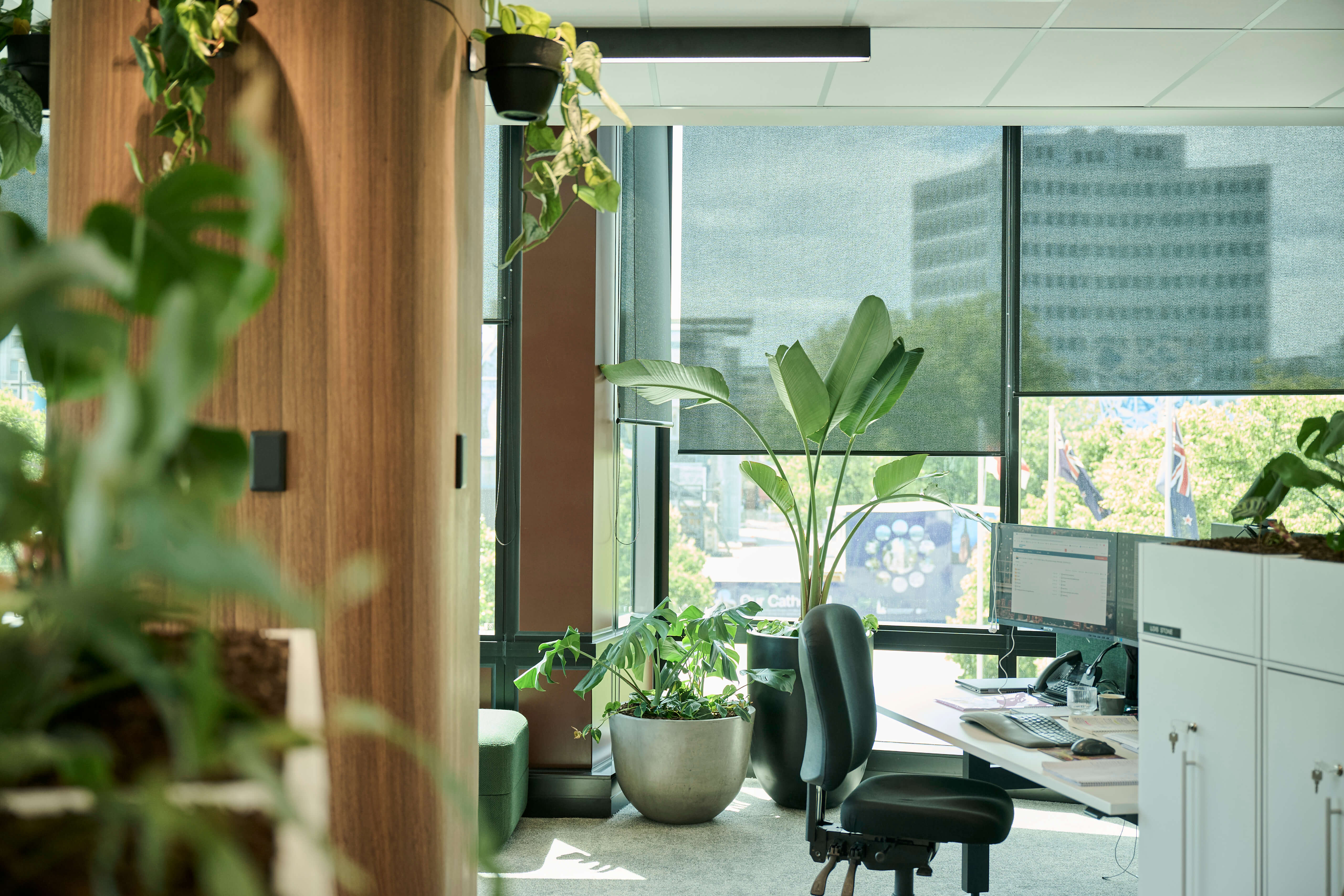 Workstation beside floor-to-ceiling windows with a large Strelizia and potted ferns in concrete-style planters.