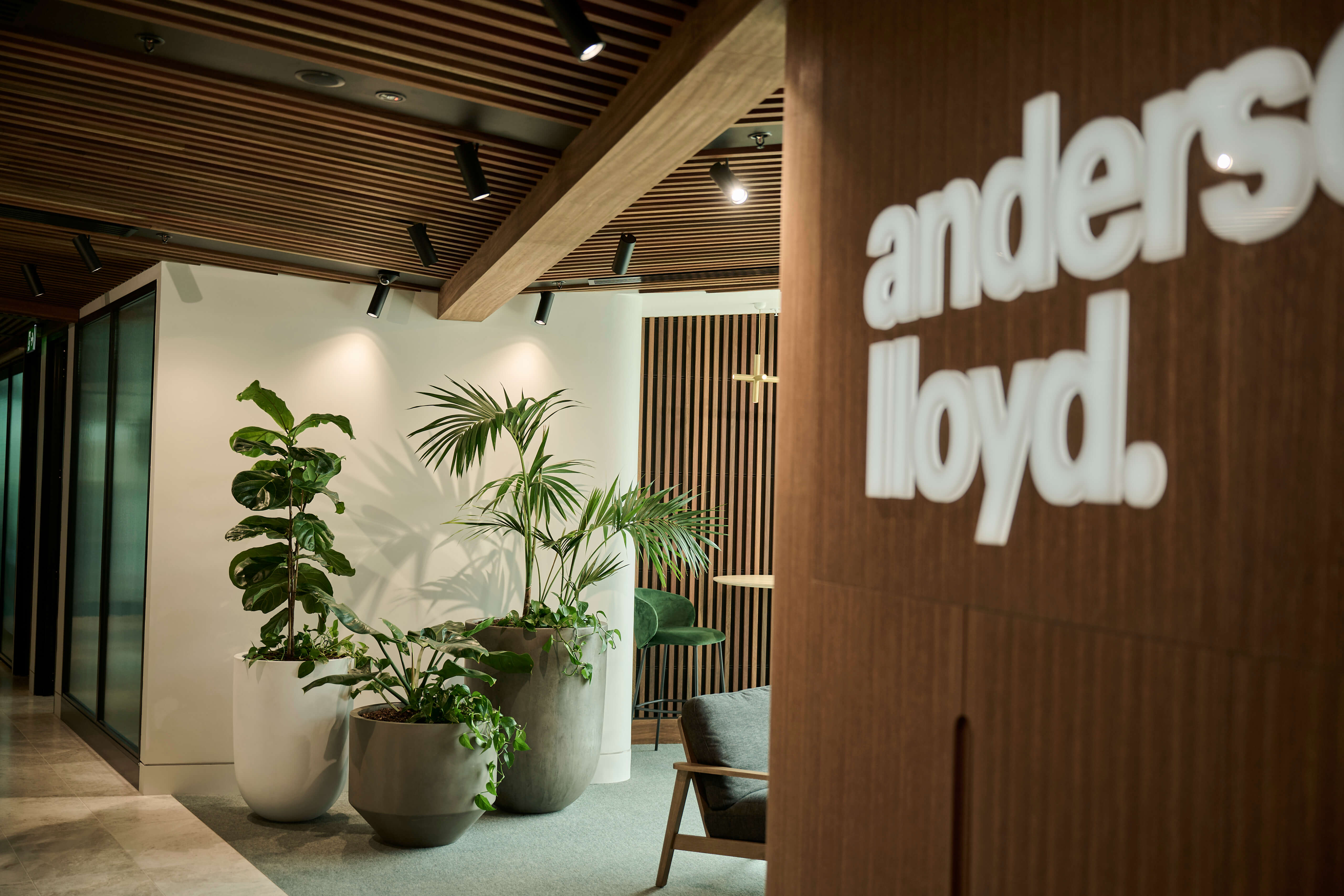 Anderson Lloyd reception signage on timber panelling, flanked by a fiddle leaf fig and palm in large planters.
