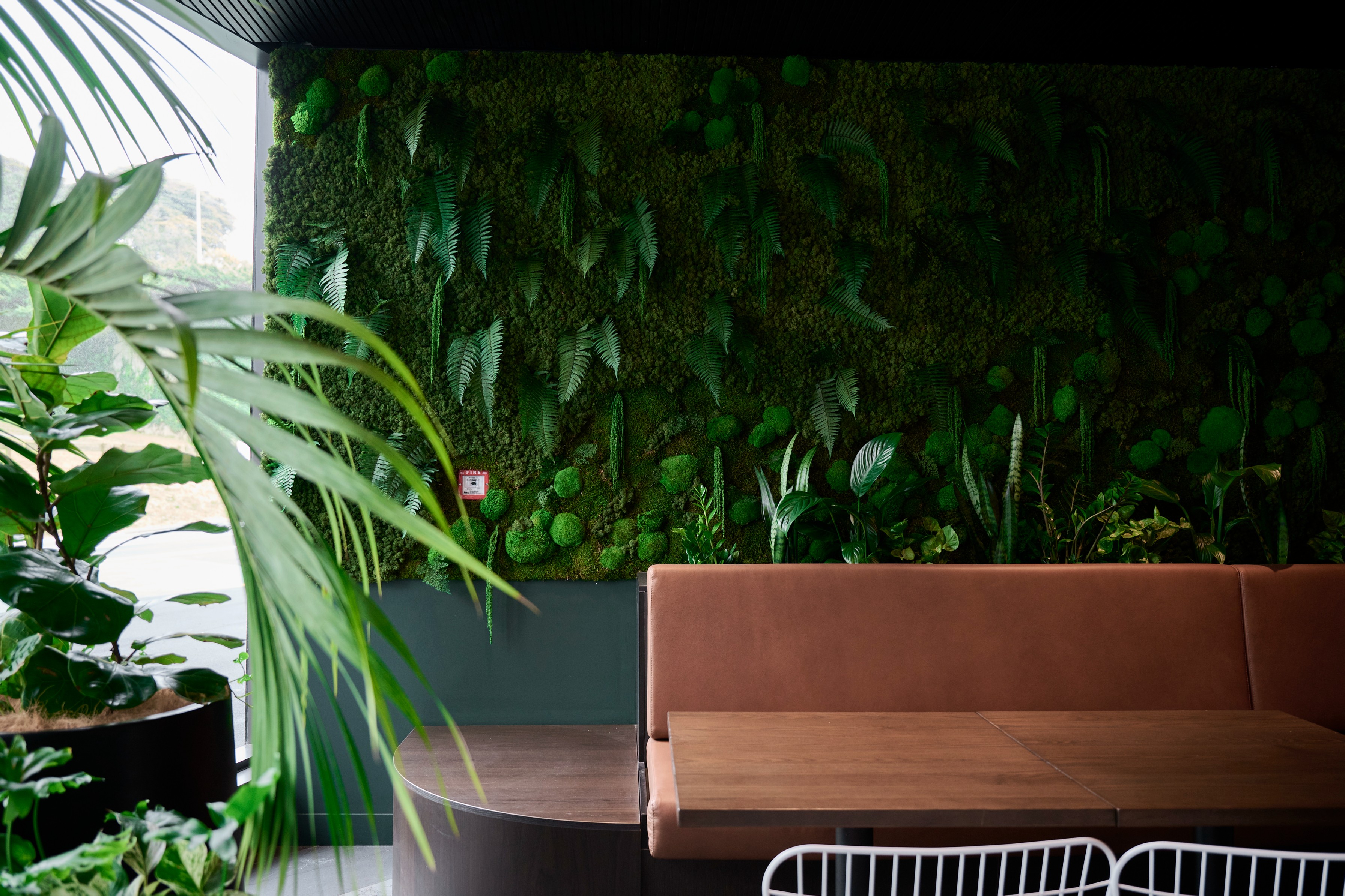 Lush green wall of ferns, round moss balls, and peace lily behind a tan leather sofa at 44 Bowen Street, Wellington.