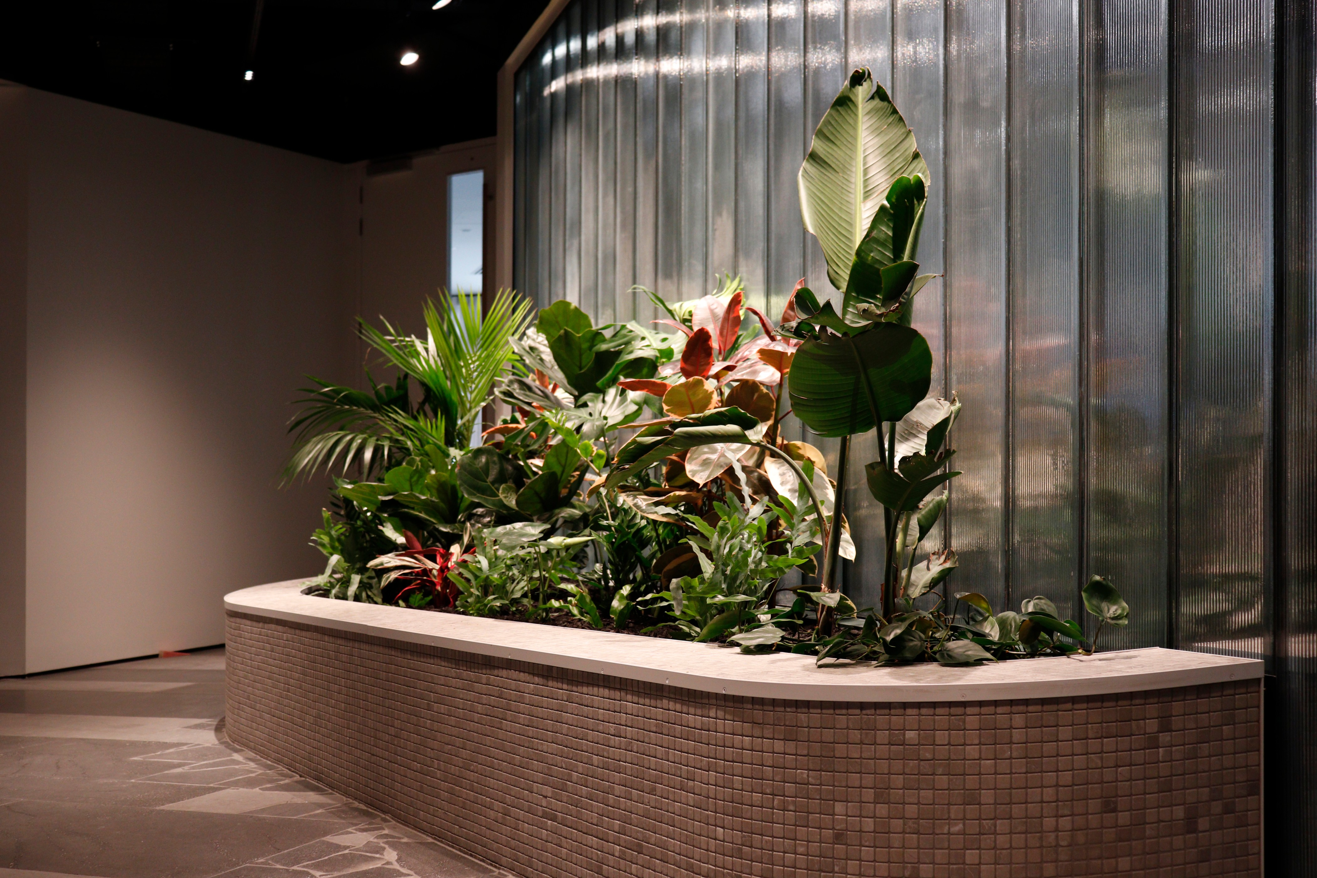 Curved mosaic tiled planter bed with banana plant, croton, palm, and bromeliads at 44 Bowen Street, Wellington.