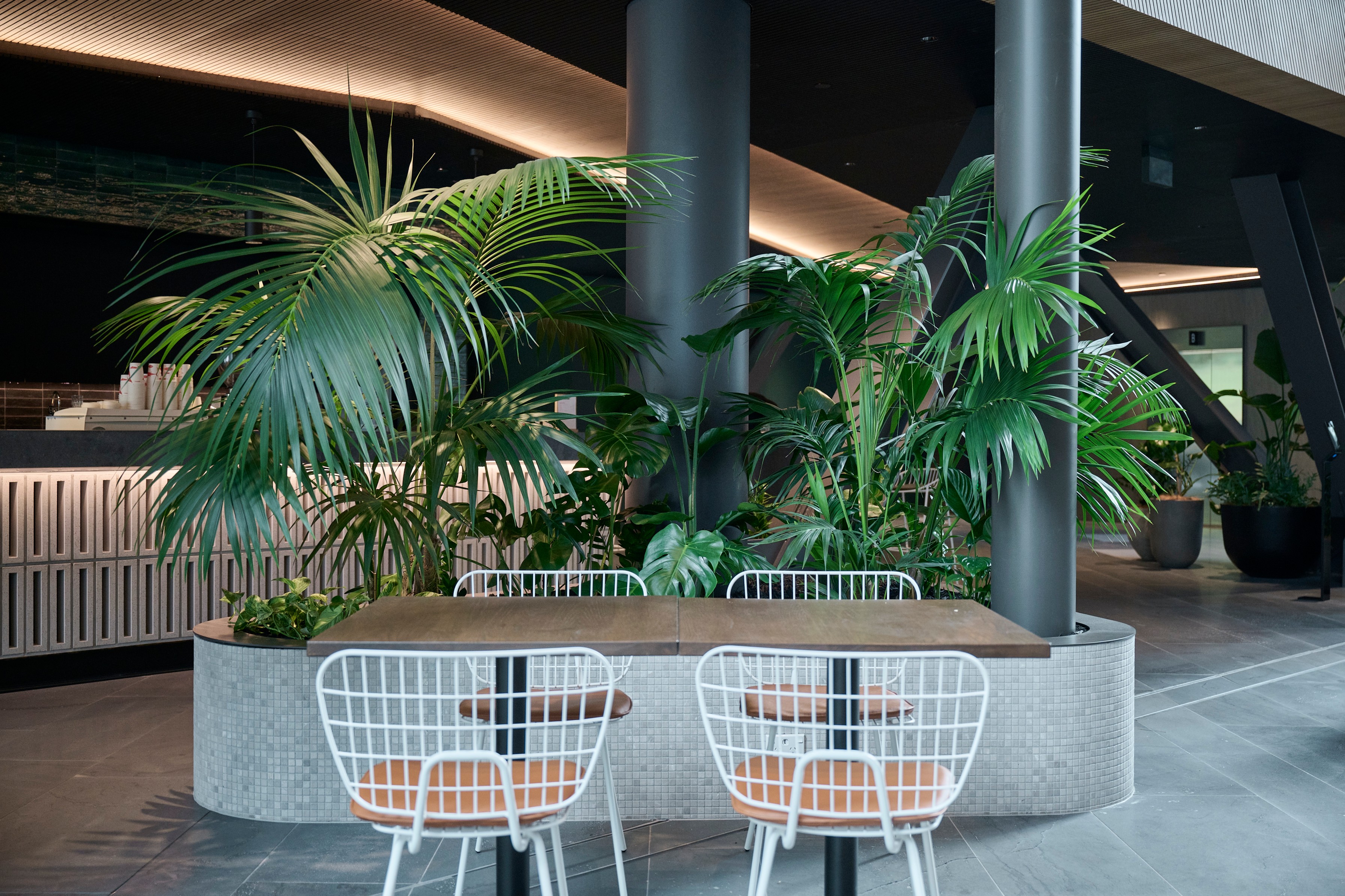 Curved mosaic-tiled planter bench with areca palms, monstera, and tropical foliage beside wire café chairs at 44 Bowen Street, Wellington