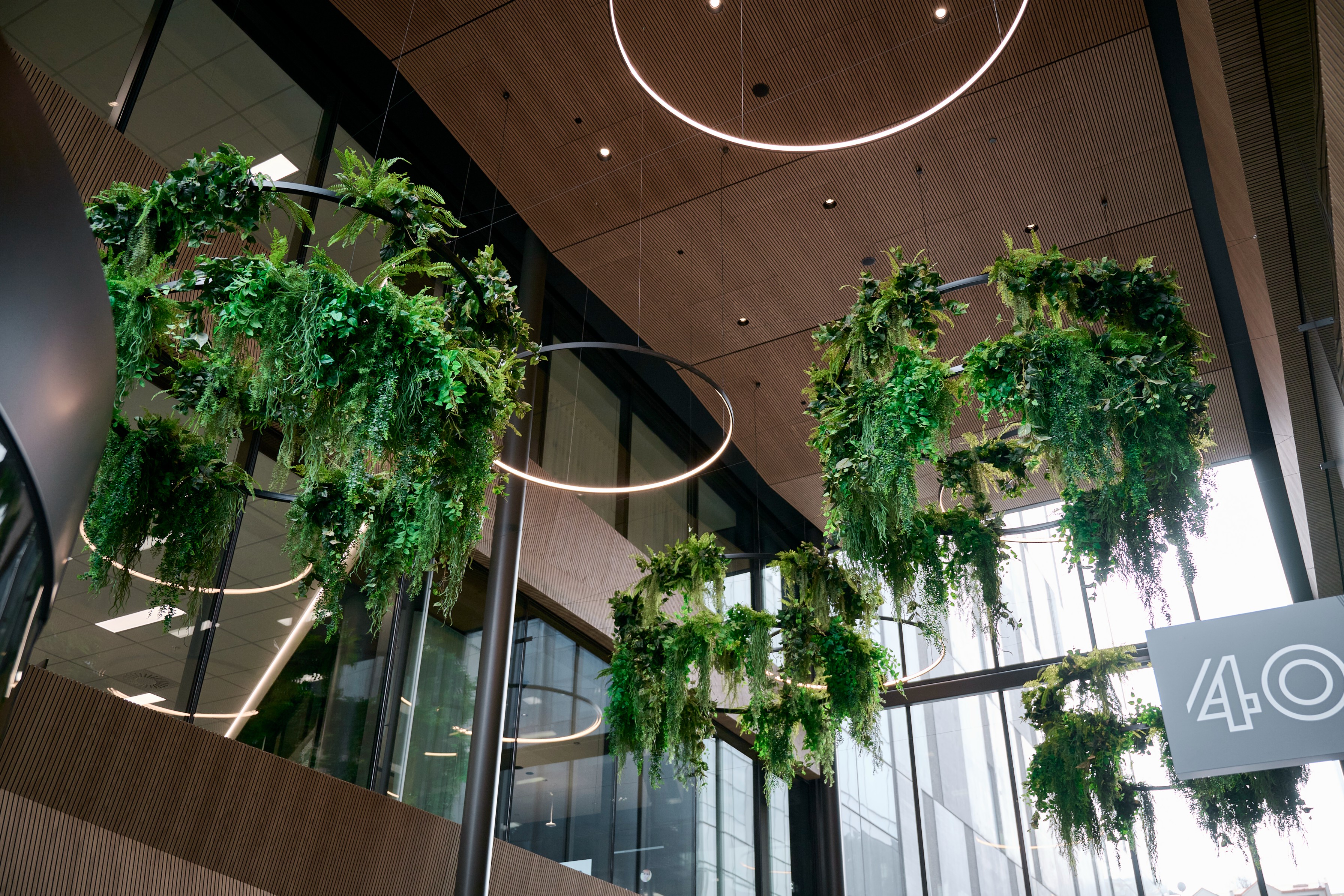 Circular plant chandelier with trailing ferns cascading from a ring frame at 44 Bowen Street, Wellington.