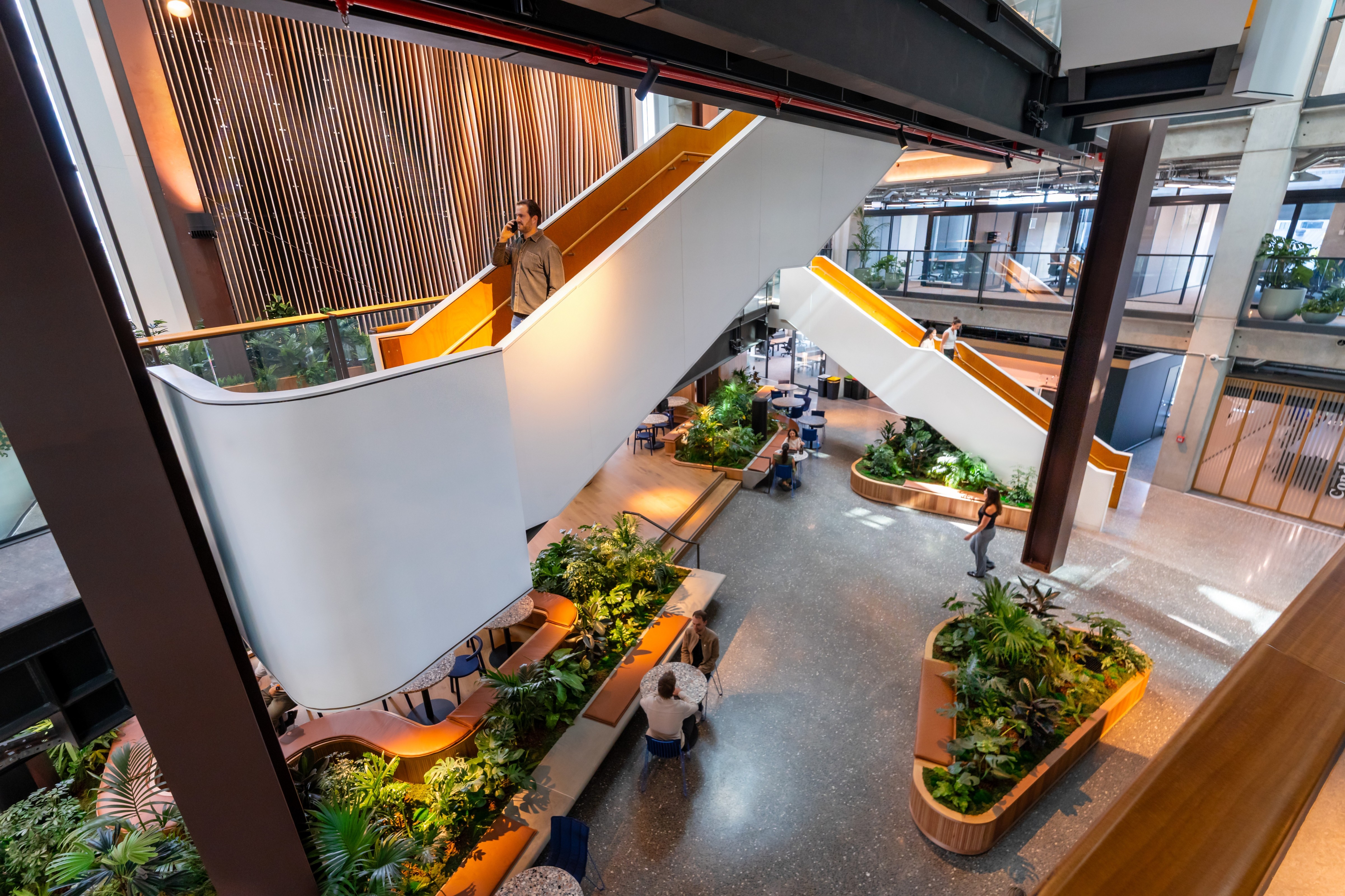 Looking down into the B:HIVE atrium — curved timber planters with mixed tropicals wrap around an amber staircase.