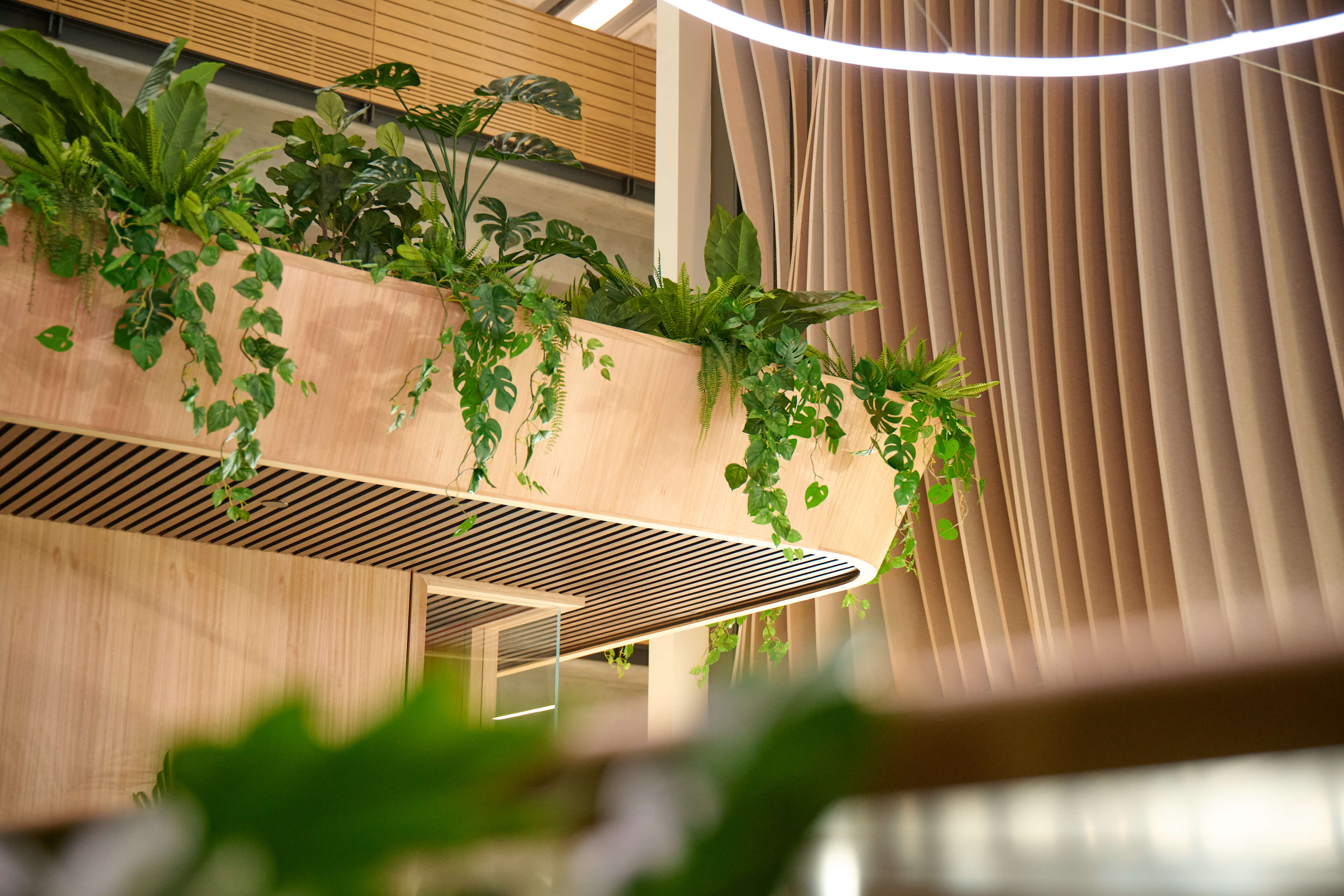 Monstera and trailing scindapsus spill from an elevated timber planter box at B:HIVE, with a timber slat ceiling above.