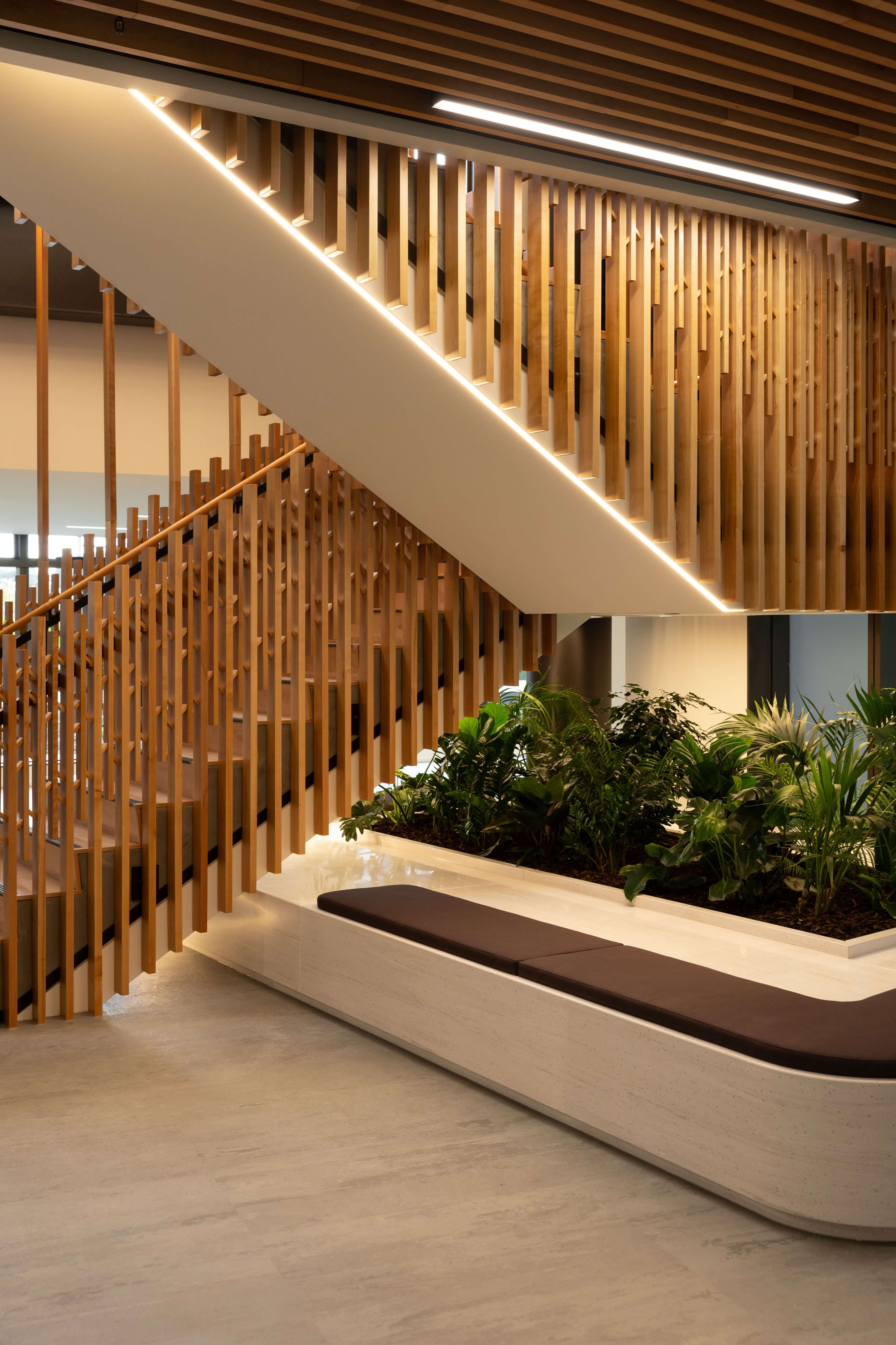Timber-batten staircase and handrail above a built-in bench seat and planter filled with palms and foliage.