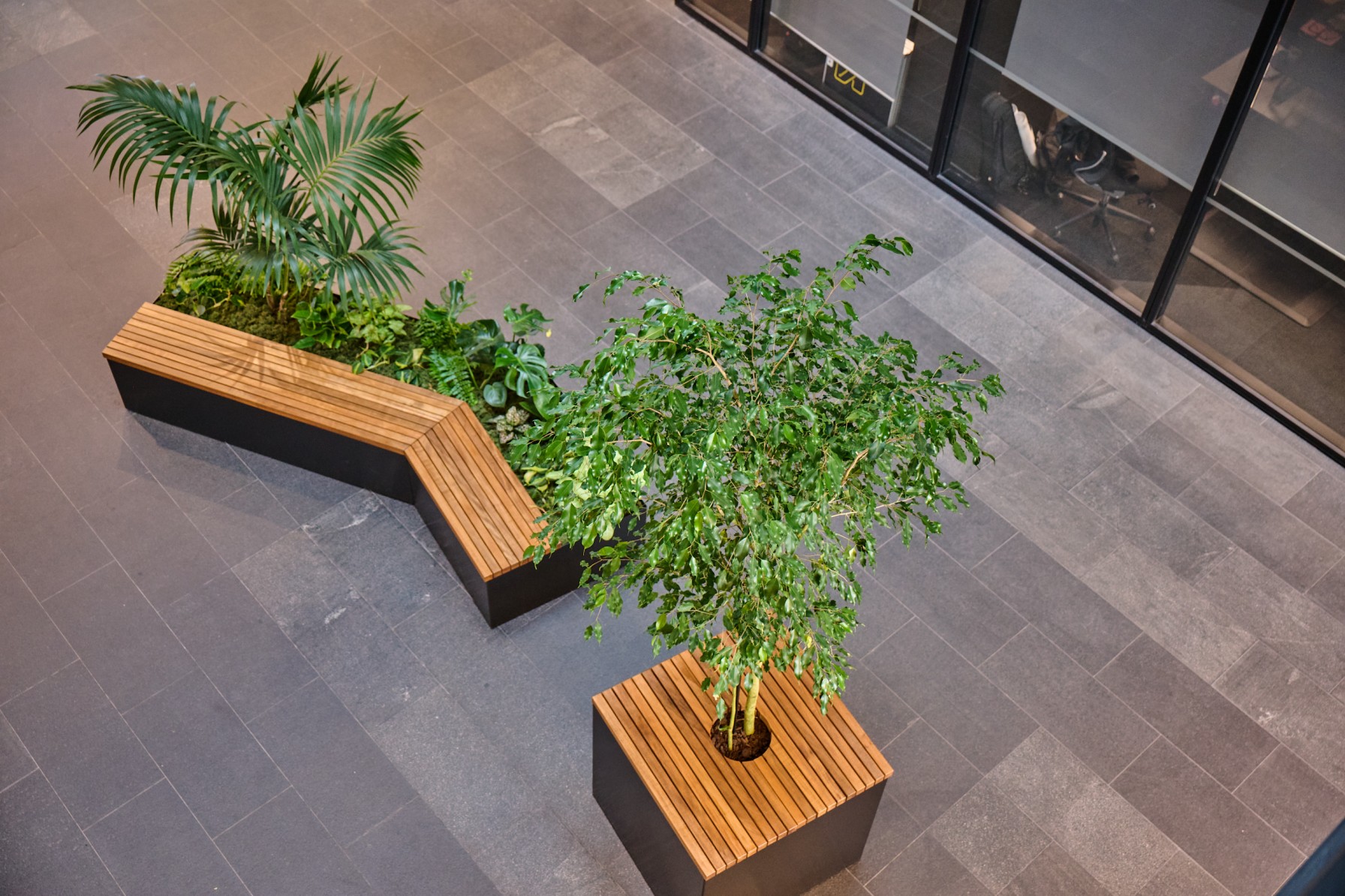 Overhead view of an L-shaped timber and black planter bench with a palm, layered foliage and a ficus tree