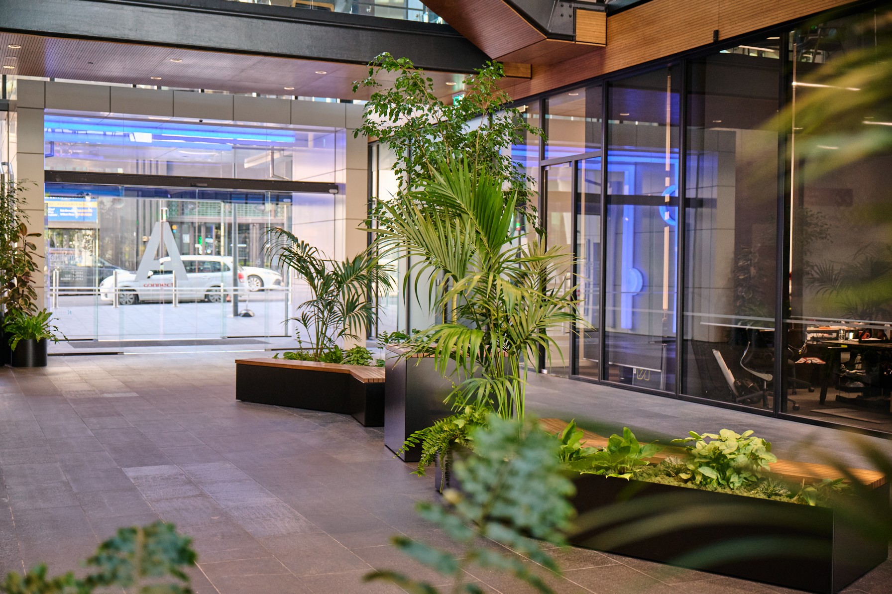 Timber planter bench with palms and trailing foliage in a glazed office foyer at dusk.