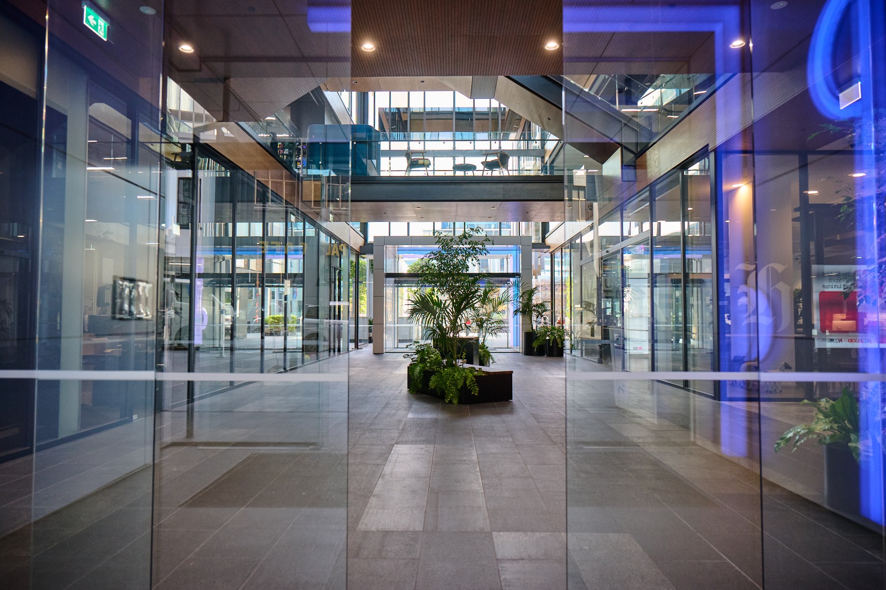 Glass-walled walkway looking through to a central atrium planter with a ficus tree and ferns.