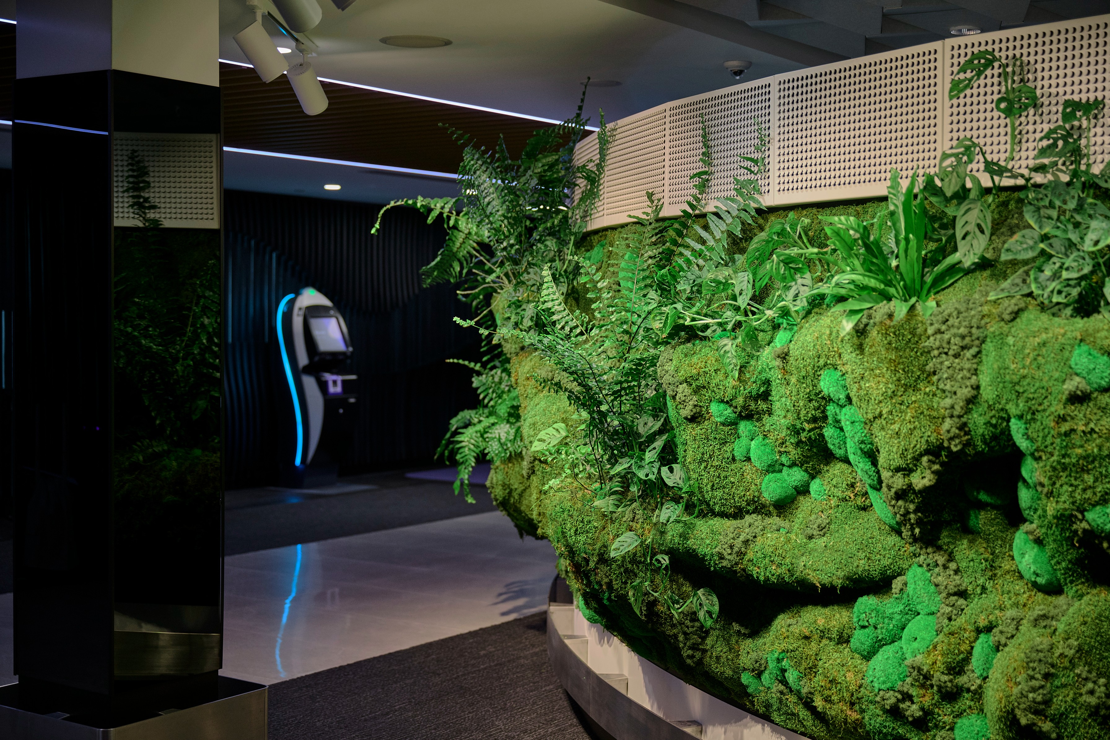 Full face of Air New Zealand's Forest Wall — ferns, monstera, and moss illuminated by green-tinted spotlights at check-in.