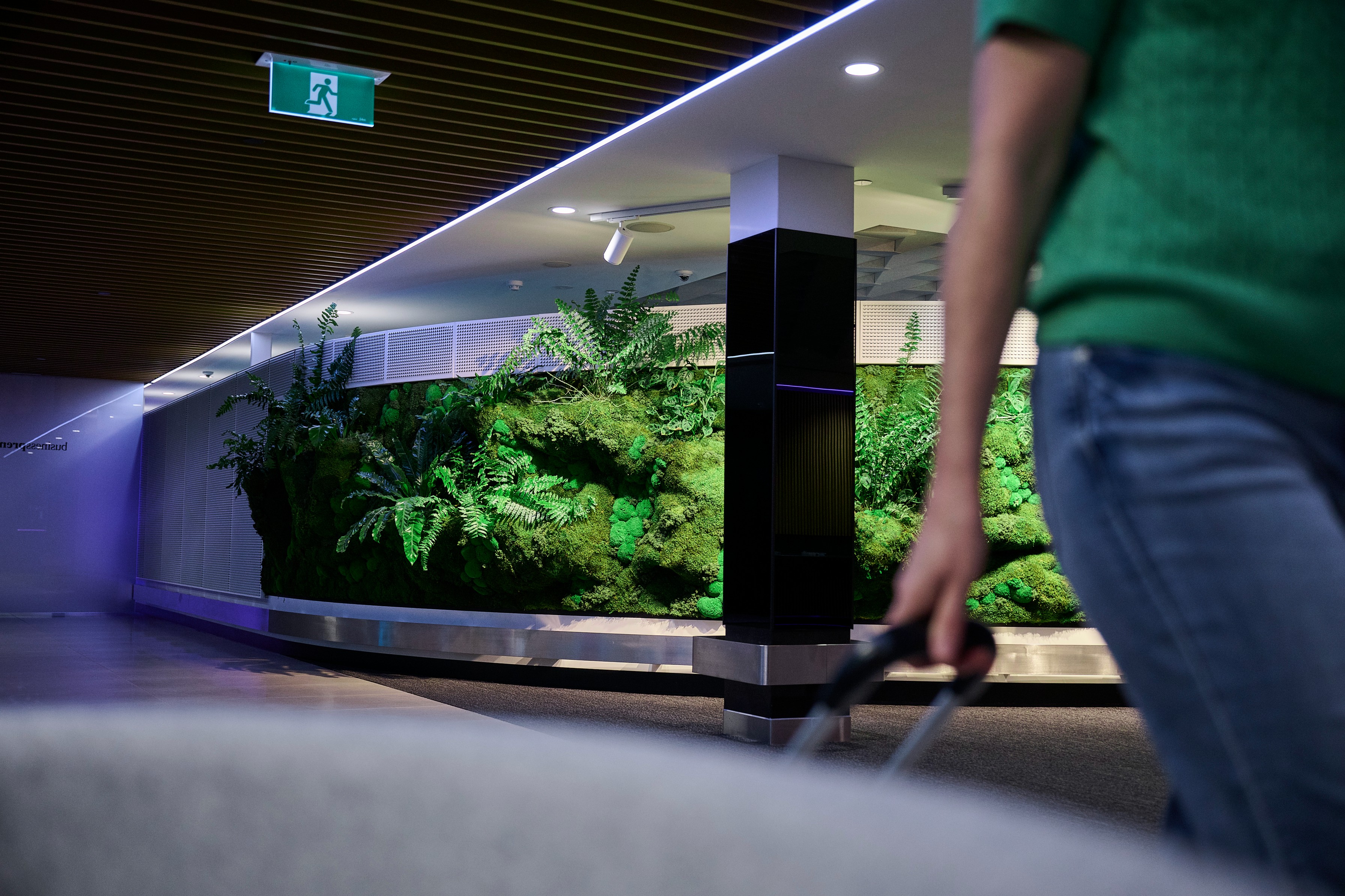 Traveller wheeling luggage past Air New Zealand's Forest Wall — a living installation spanning the full check-in corridor.