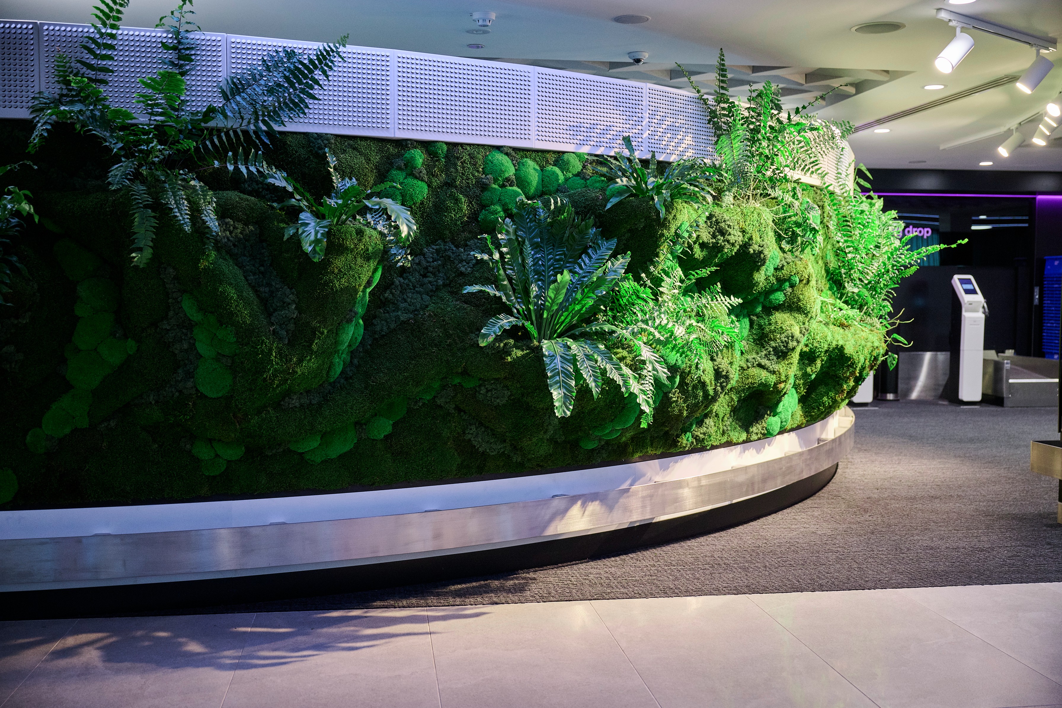 Detail of ferns and layered moss mounds on Air New Zealand's Forest Wall — the tactile surface of Outside In's installation.