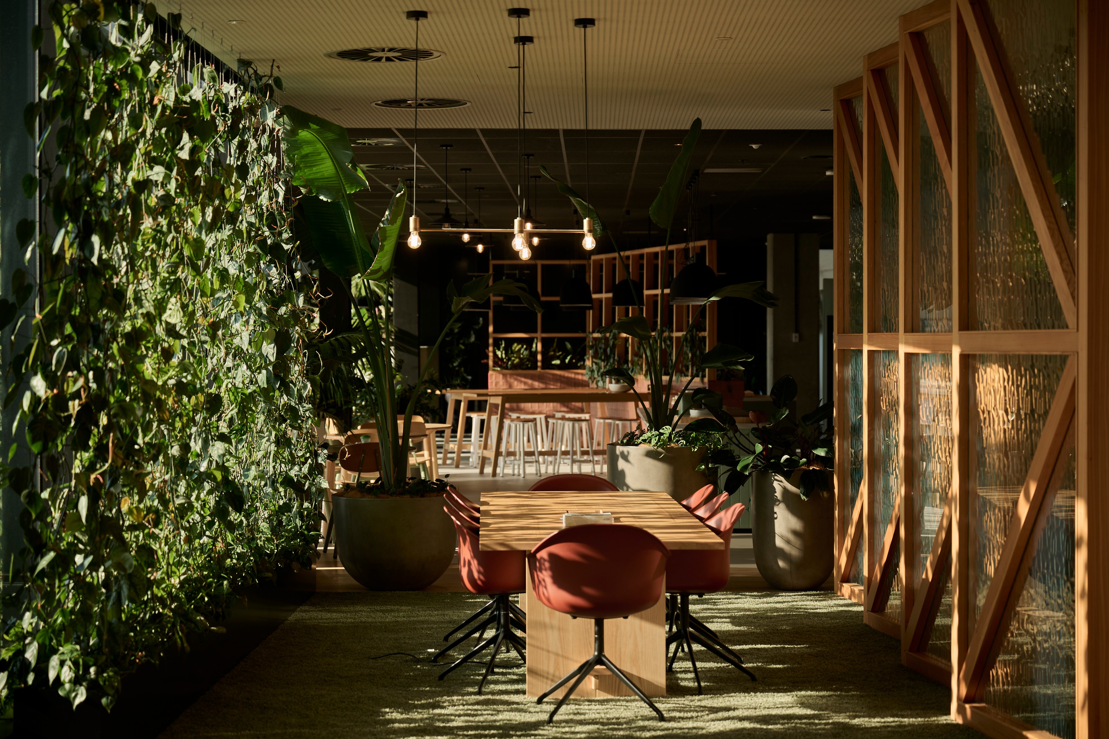 A full-height pothos green wall lines the Aurecon breakout space, with terracotta chairs and pendant lights beyond.