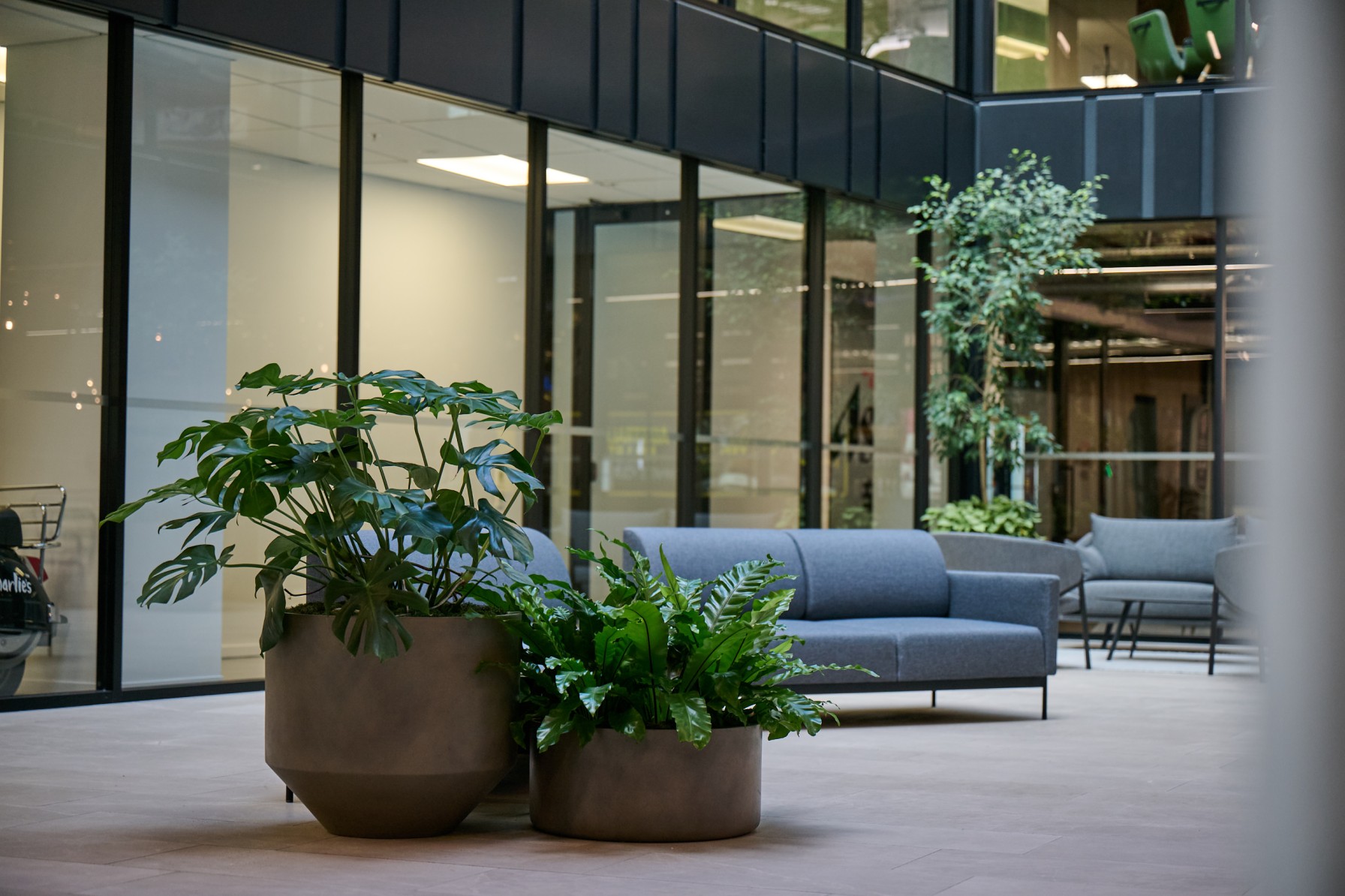 Monstera and fern planters beside a grey sofa in a glazed courtyard seating area.