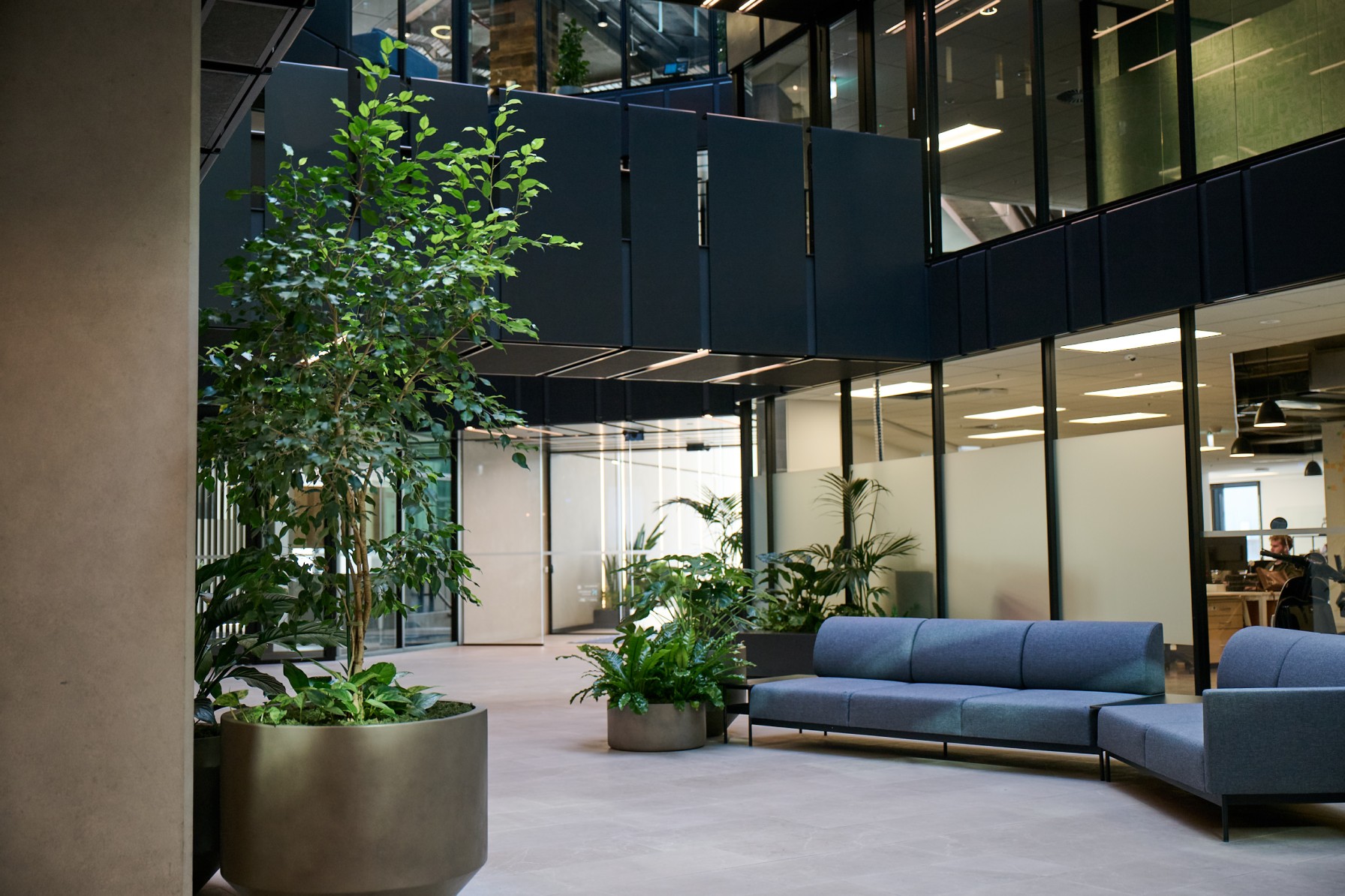 Ficus tree and layered planters beside a blue lounge sofa in a double-height atrium.