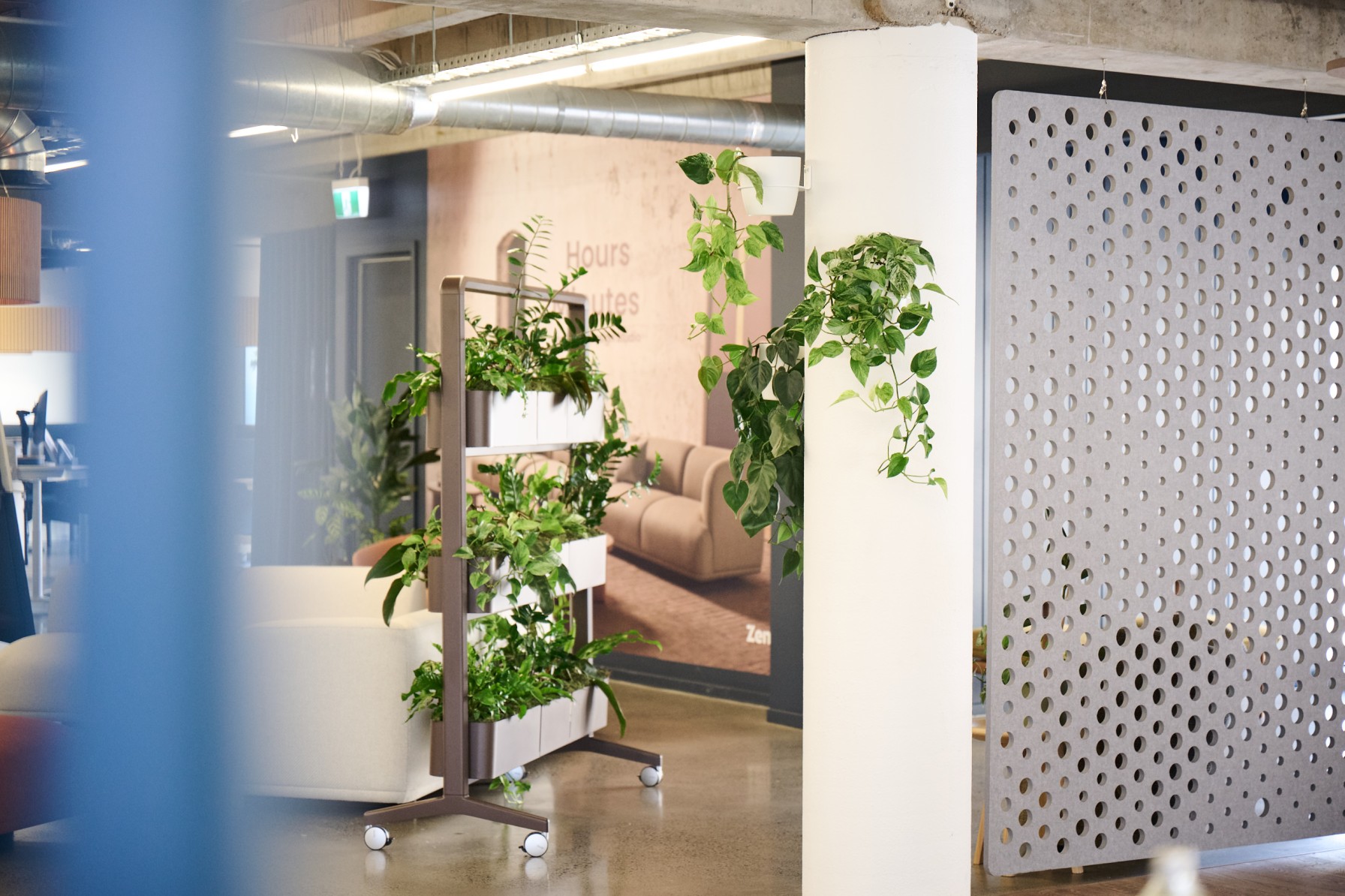 Mobile tiered planter divider with trailing pothos beside a wall-mounted planter and perforated screen partition