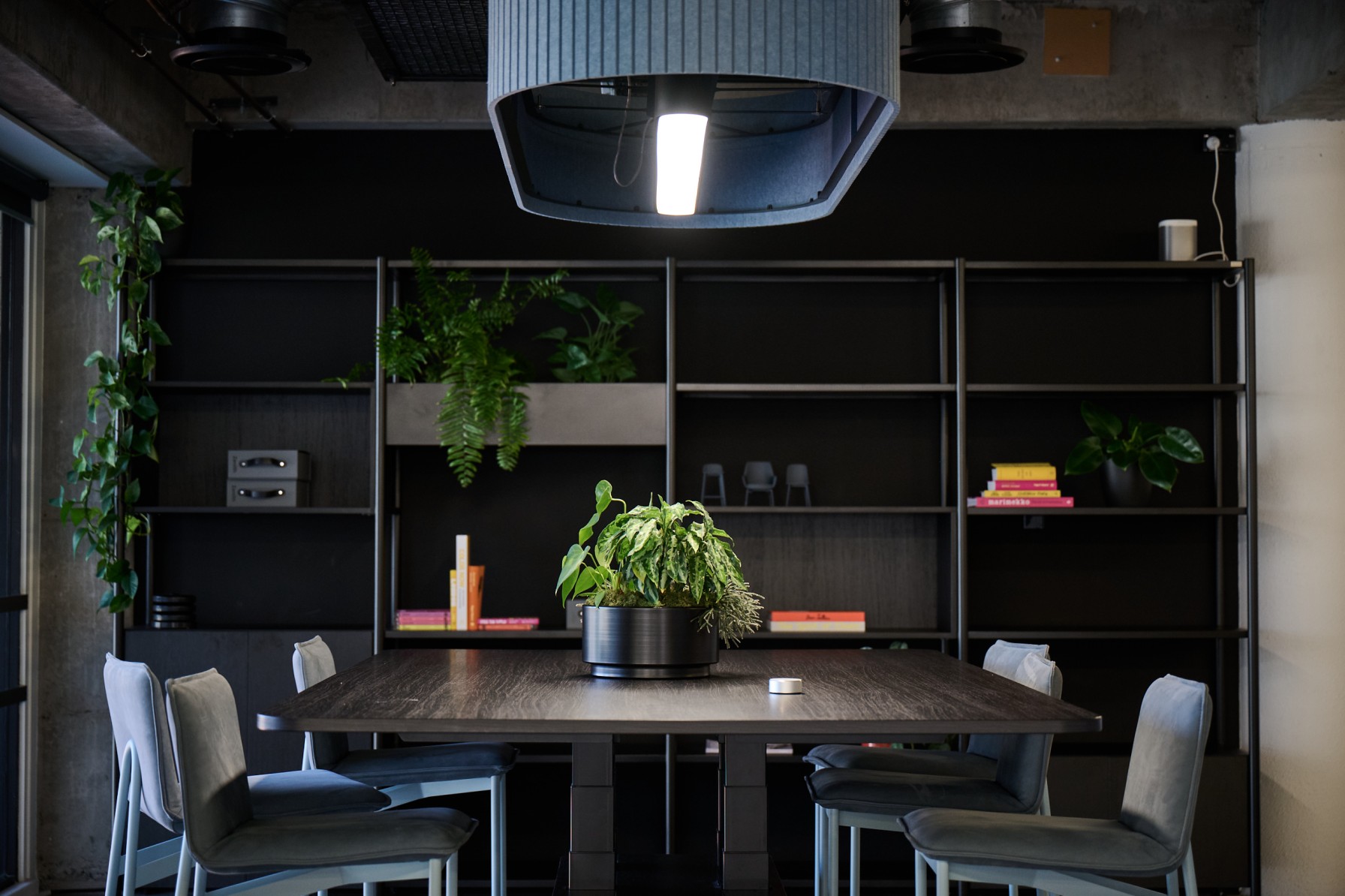Meeting room table with a potted foliage centrepiece beneath a pendant light, with a fern-planted bookshelf behind.