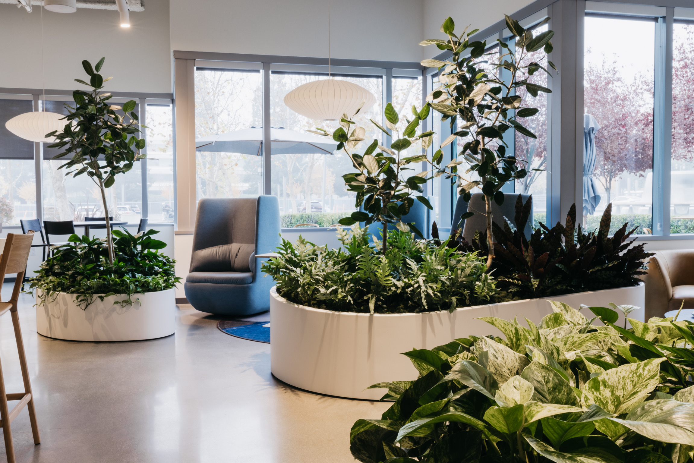 Planting detail from the Branch Hub at Bishop Ranch — bespoke planters and tropical foliage by Outside In.