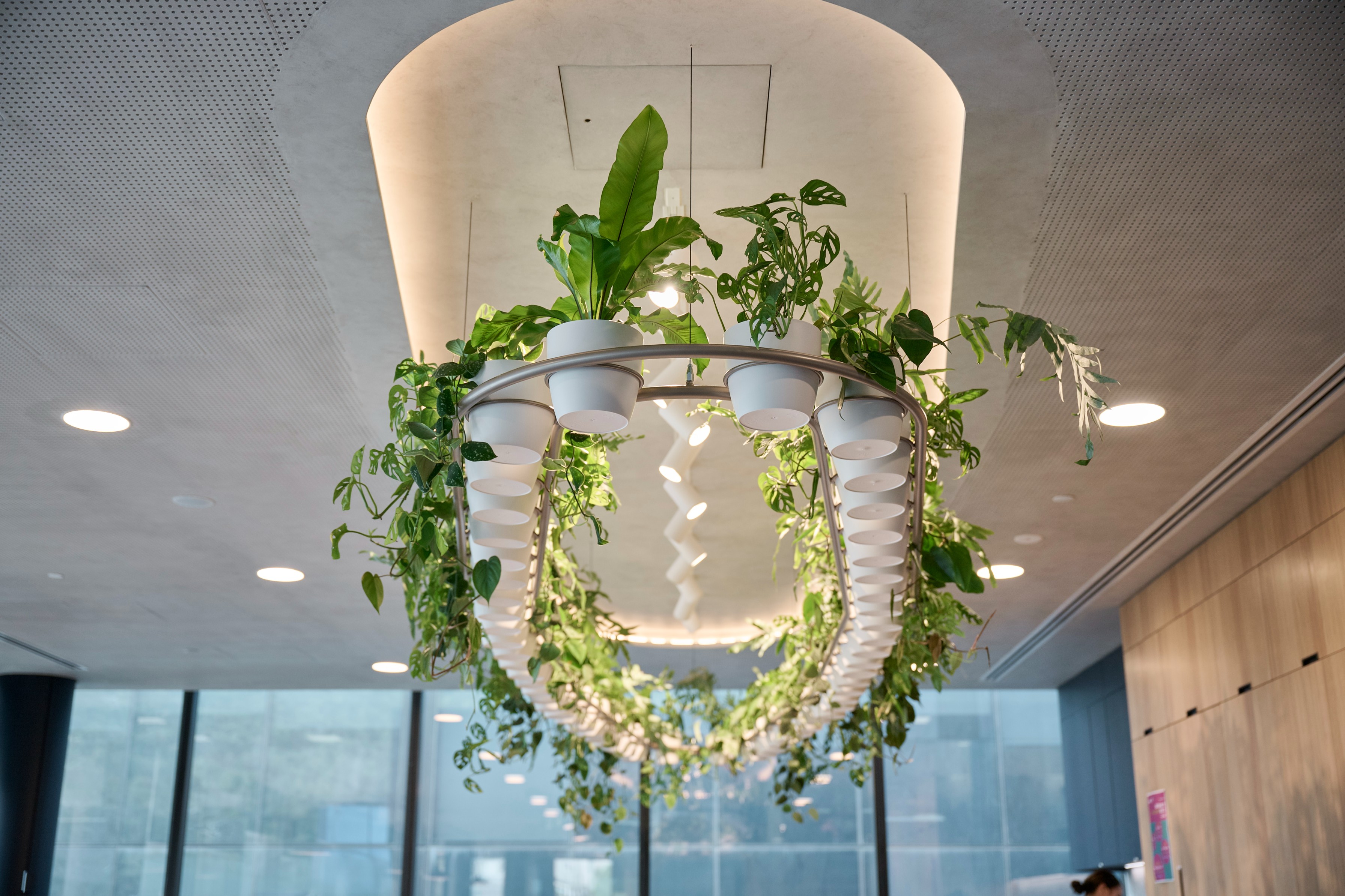 Suspended circular chandelier planter of trailing pothos, Monstera and Bird of Paradise beneath an arched ceiling.