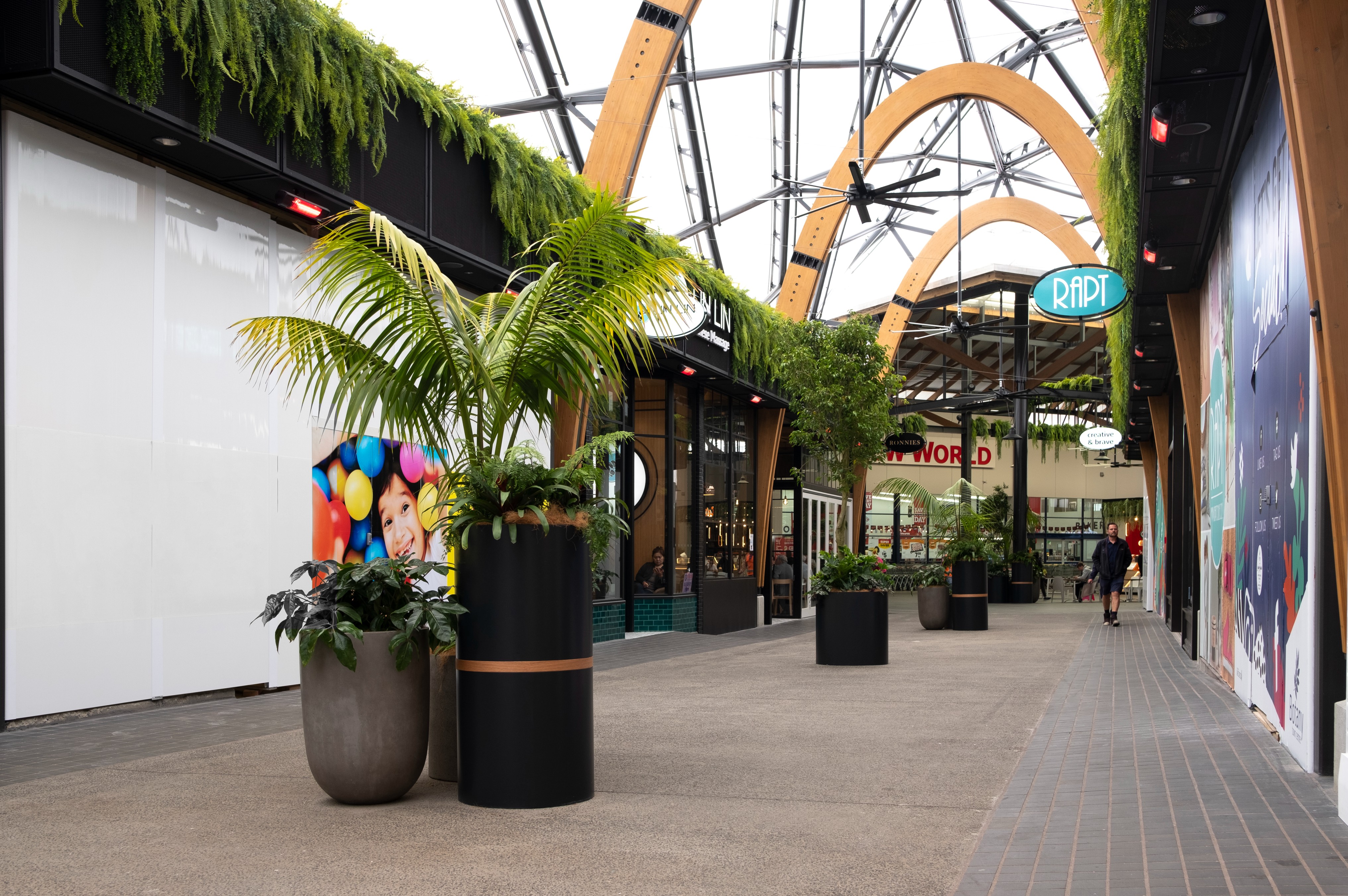 Tall kentia palms in black cylindrical planters line the timber-arched outdoor walkway at Botany Town Centre.