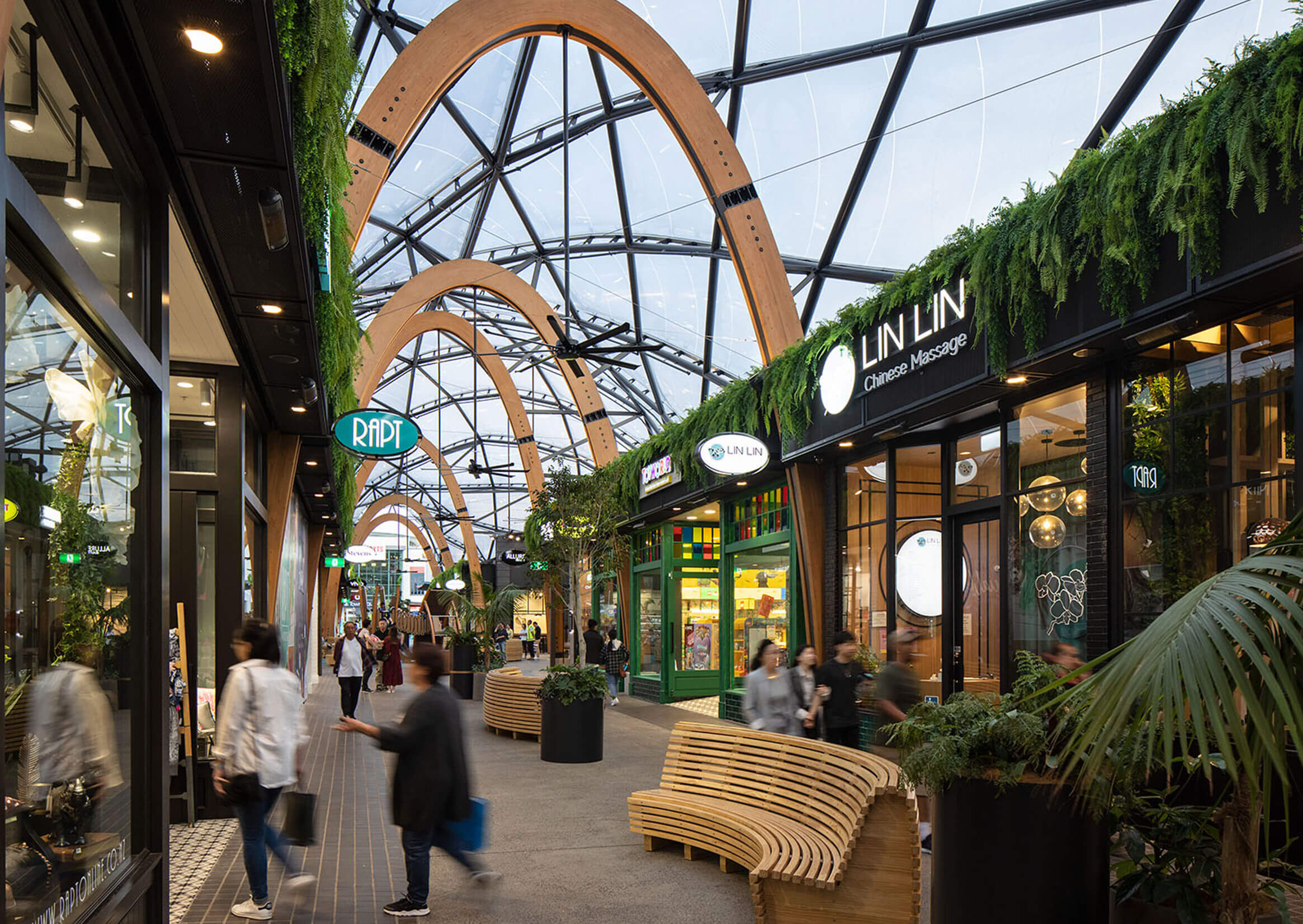 A tall kentia palm in a black cylindrical planter marks a junction in the Botany Town Centre mall.