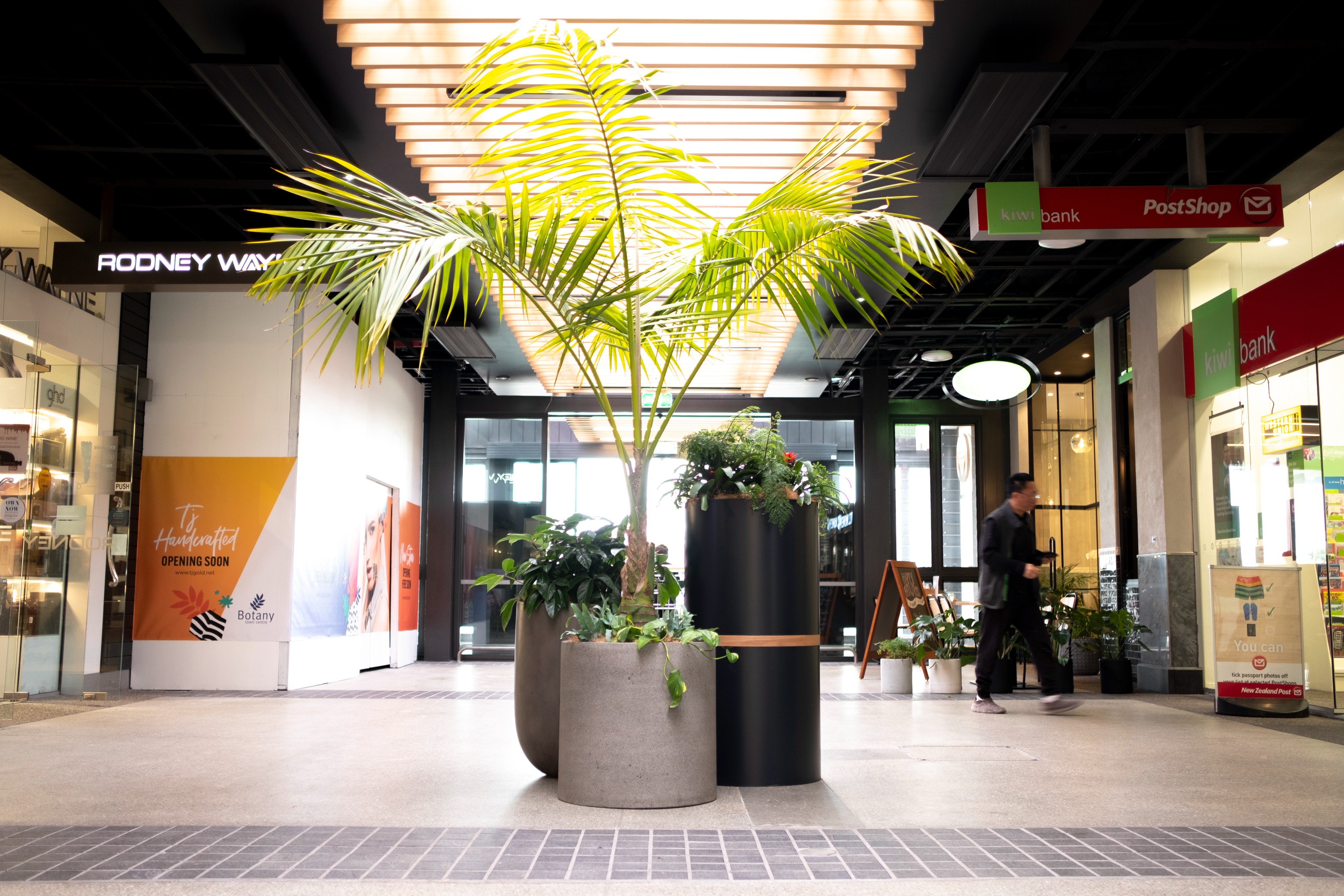 Black cylindrical planters with a kentia palm and tropical foliage in the Botany Town Centre mall.