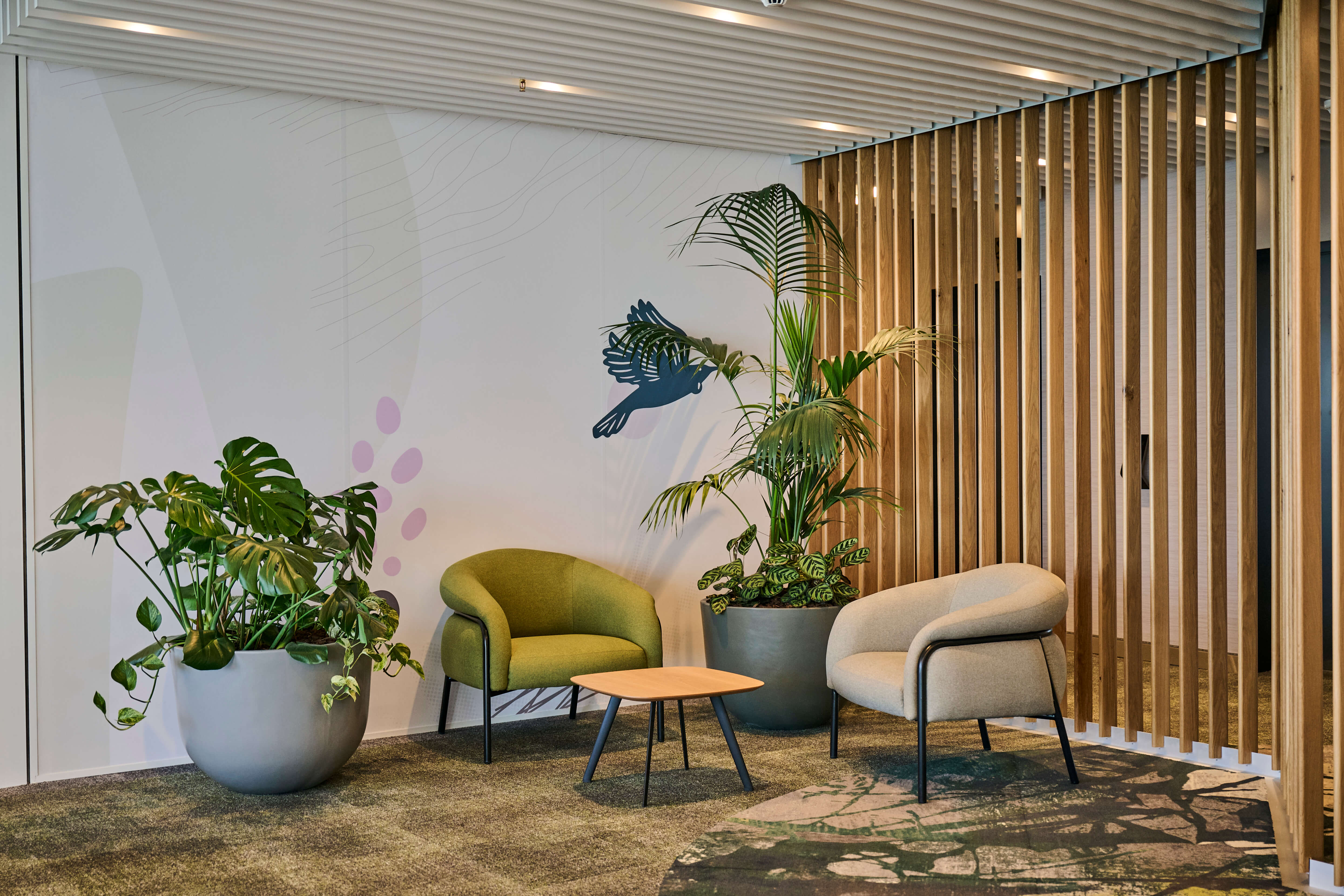 A monstera sits between green lounge chairs at Deloitte, with a bird decal and areca palm in the background.