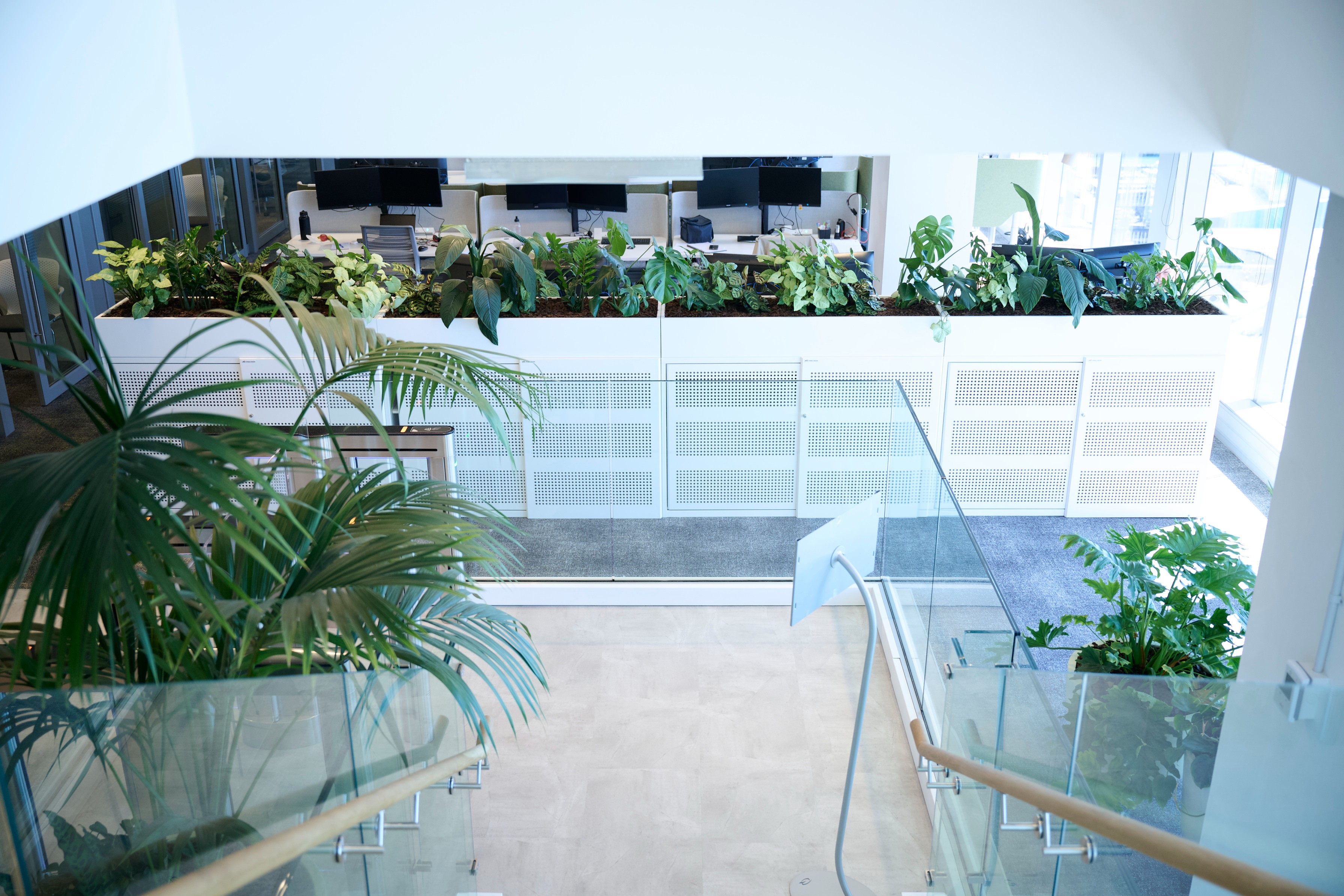 Mixed tropical plants fill white trough planters along the balustrade at Deloitte, viewed from above.