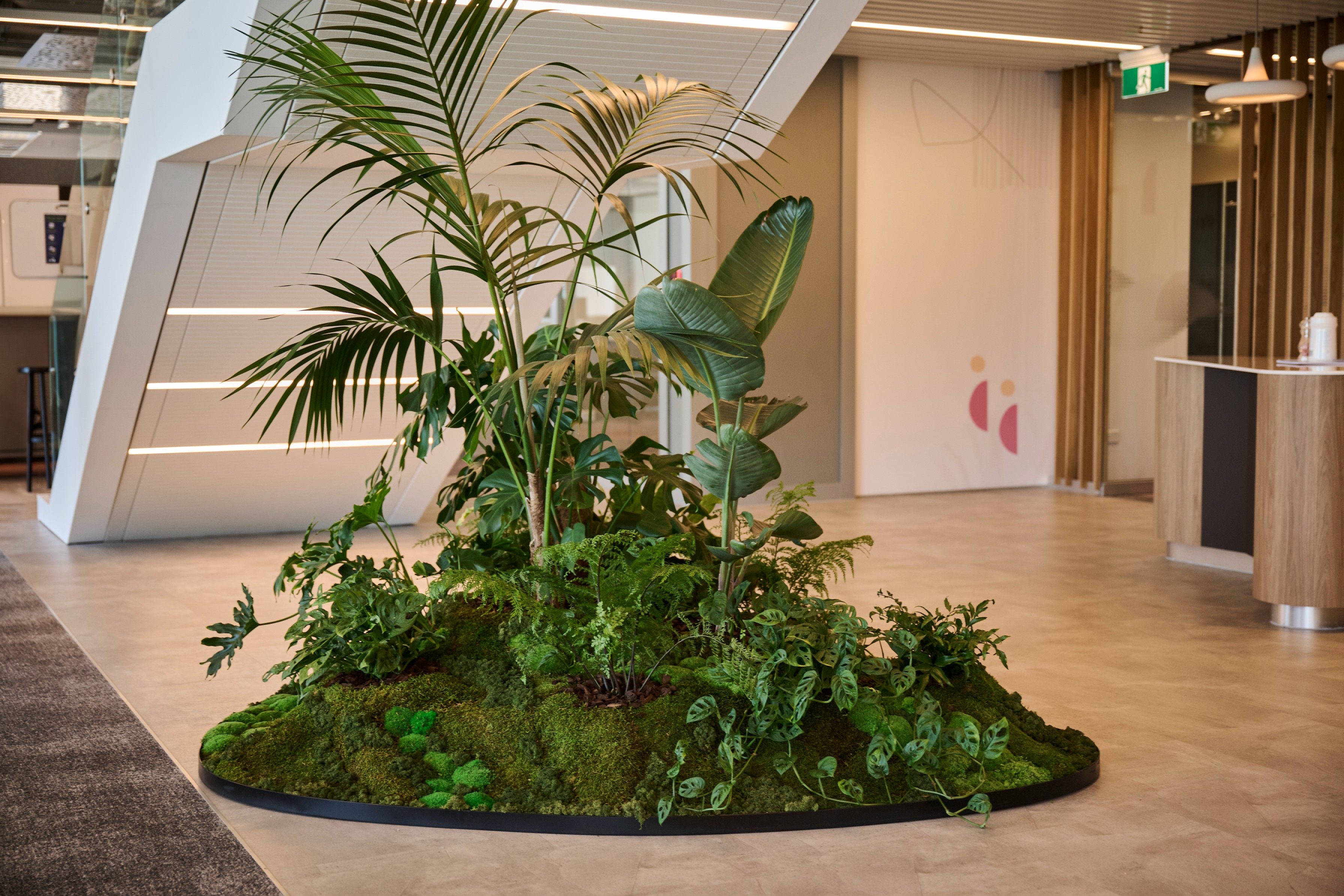 A planted island of palms, bird of paradise, and monstera on a moss base anchors the Deloitte office floor.
