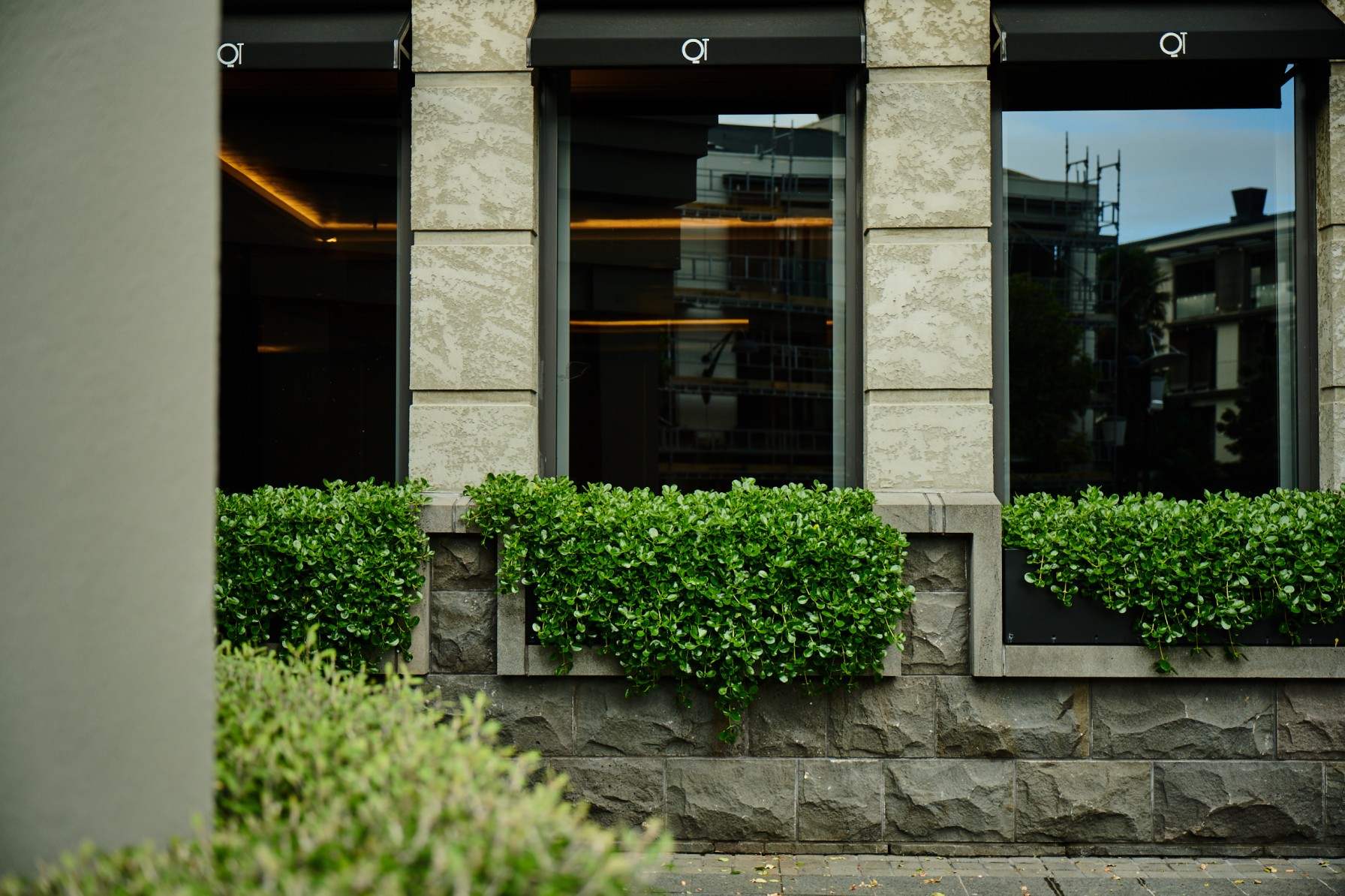 Dense trailing groundcover in built-in stone planters beneath the QT hotel's windows.