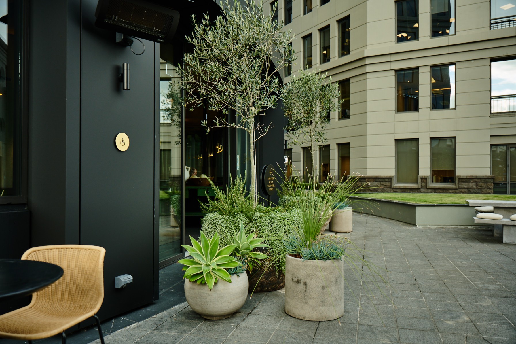 Olive trees, agave and grasses in concrete pots outside the hotel entrance, city building behind.