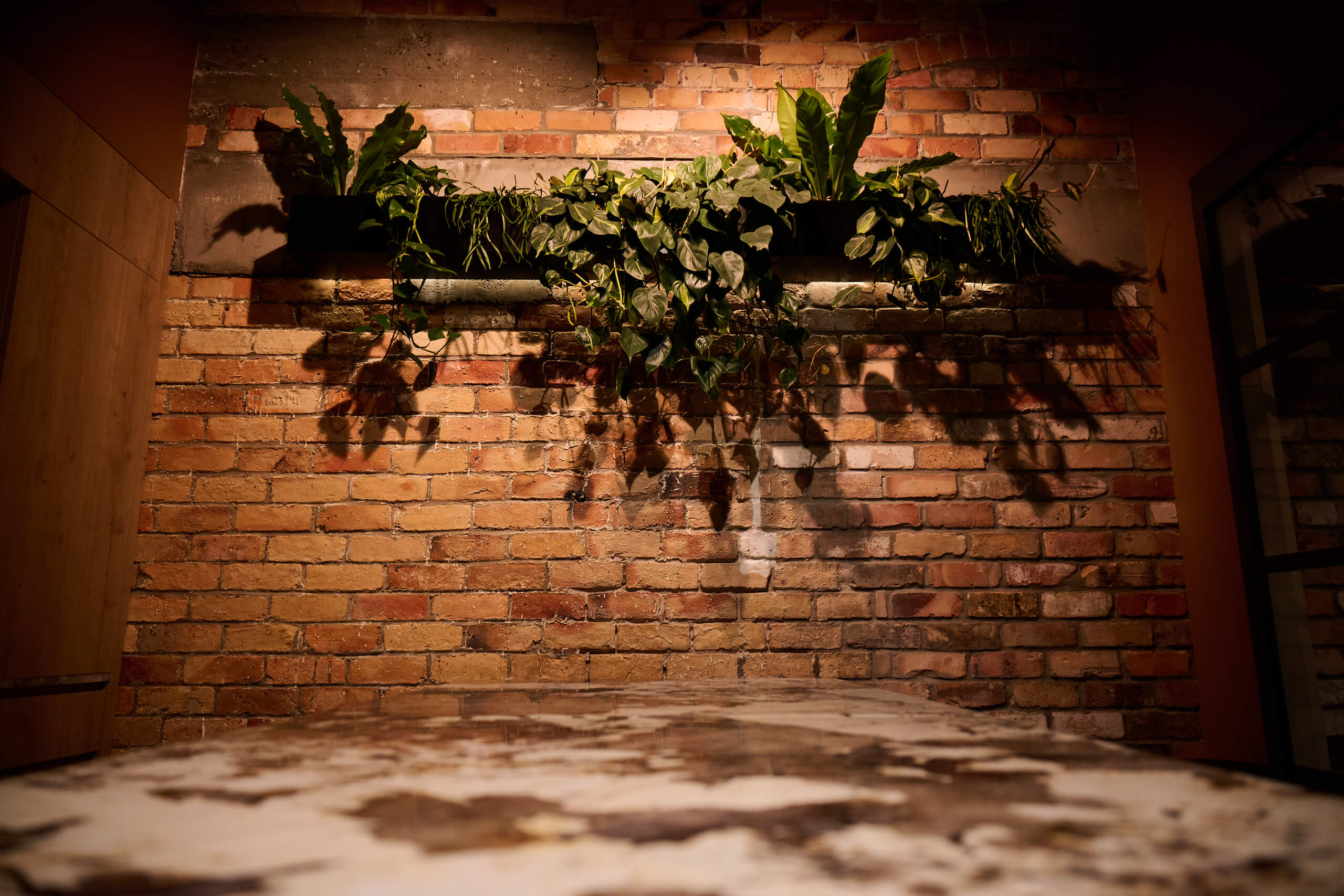 A wall-mounted shelf of bird's nest fern and trailing pothos casts dramatic shadows on the brick wall at Gold Merchants.