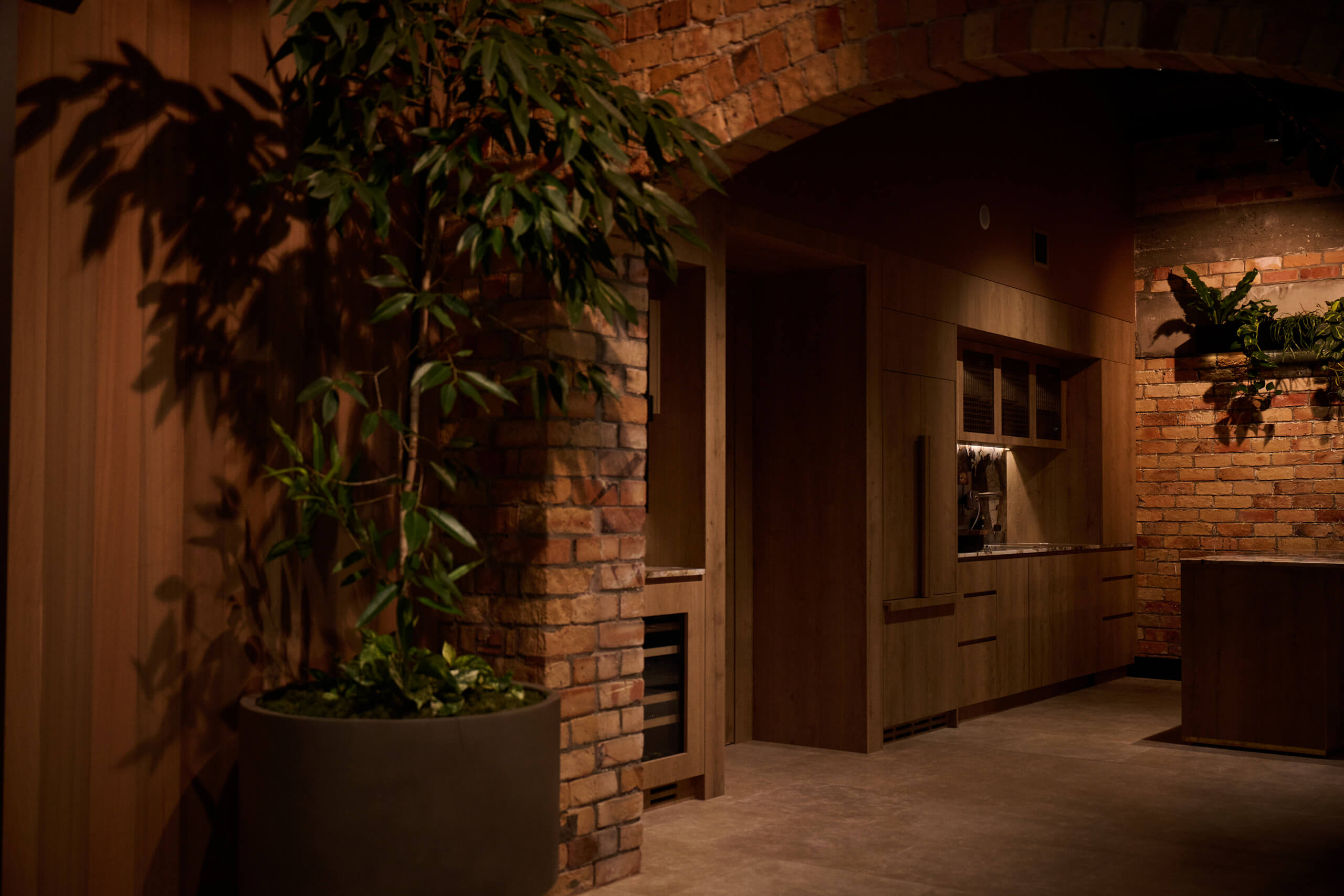 A bamboo tree in a round planter anchors the kitchen corridor at Gold Merchants, beneath the brick arch.