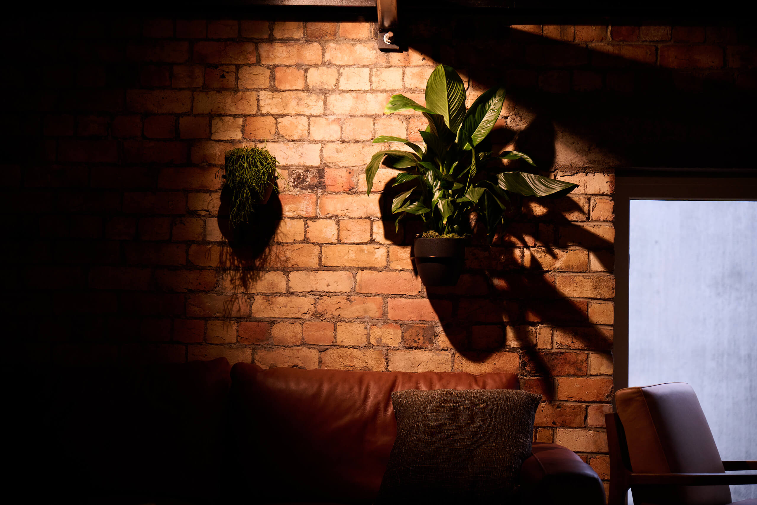Wall-mounted pots of peace lily and pothos are spotlit against the exposed brick wall at Gold Merchants.