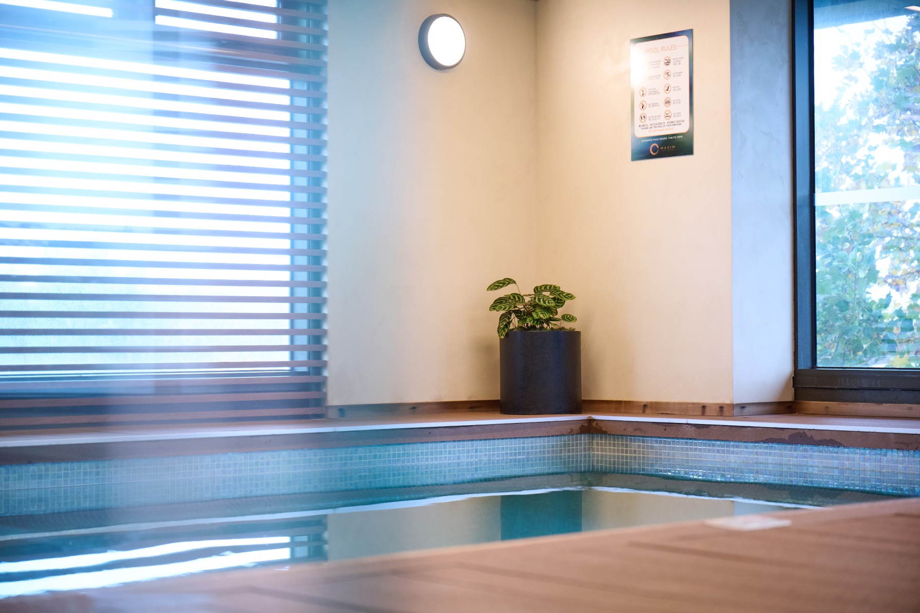 Alt text: Potted calathea in a black planter beside an indoor mosaic-tiled pool at Maxim.