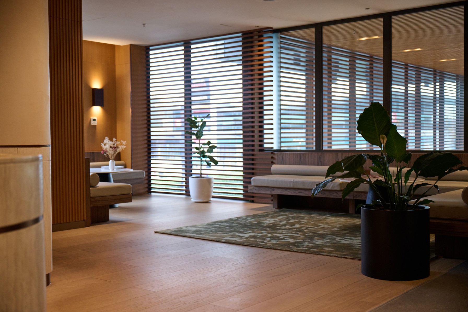 Fiddle leaf fig and bird of paradise in the foreground of a timber-floored lounge with slatted windows and banquette seating.
