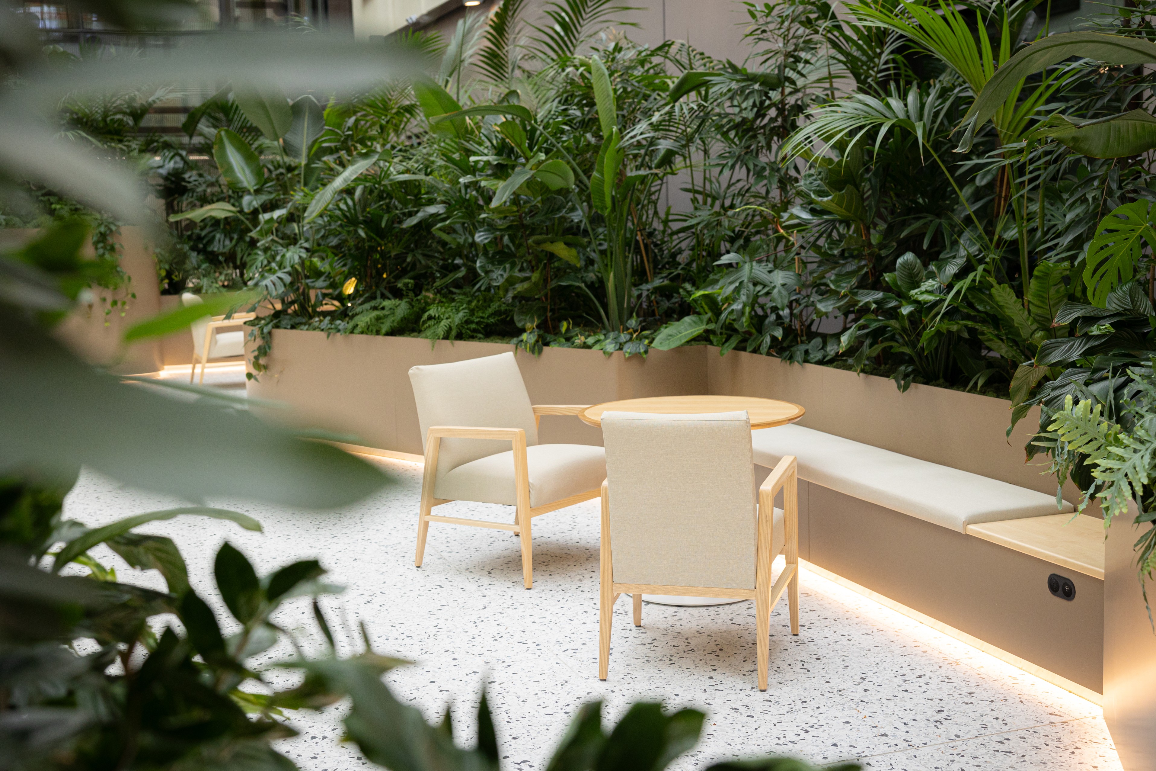Two white chairs and a round table occupy a seating nook in the Totara Haumaru healing garden, enclosed by tropical planting.